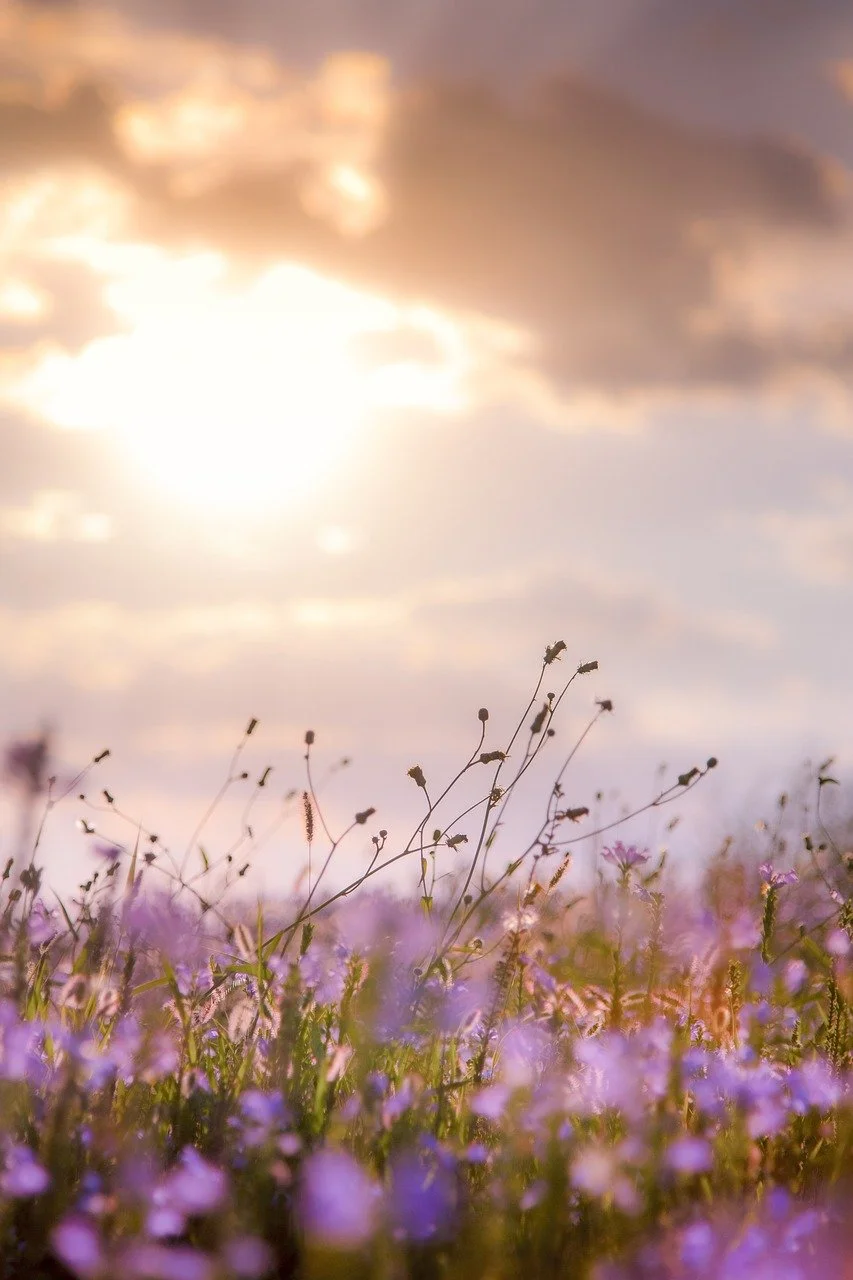 February 25, 2026 ~ 8 Session Introductory Series, Stress, Anxiety, and CPTSD, Learning to Thrive