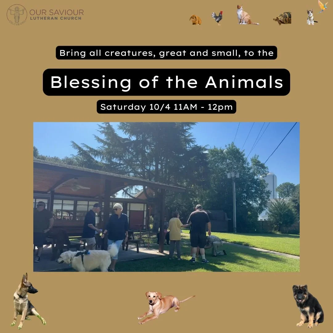 Blessing of the Animals 2025