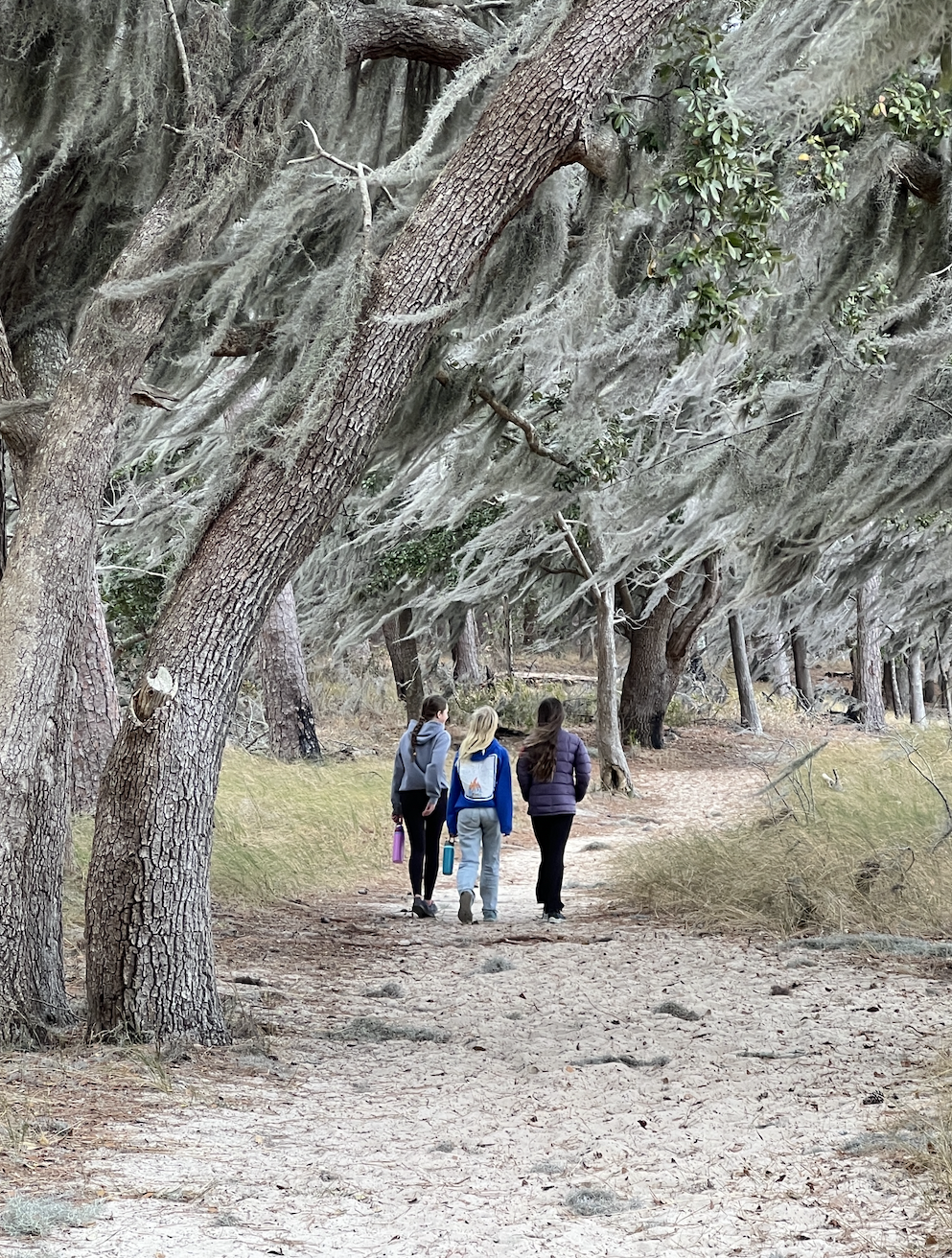 Halloween Trail