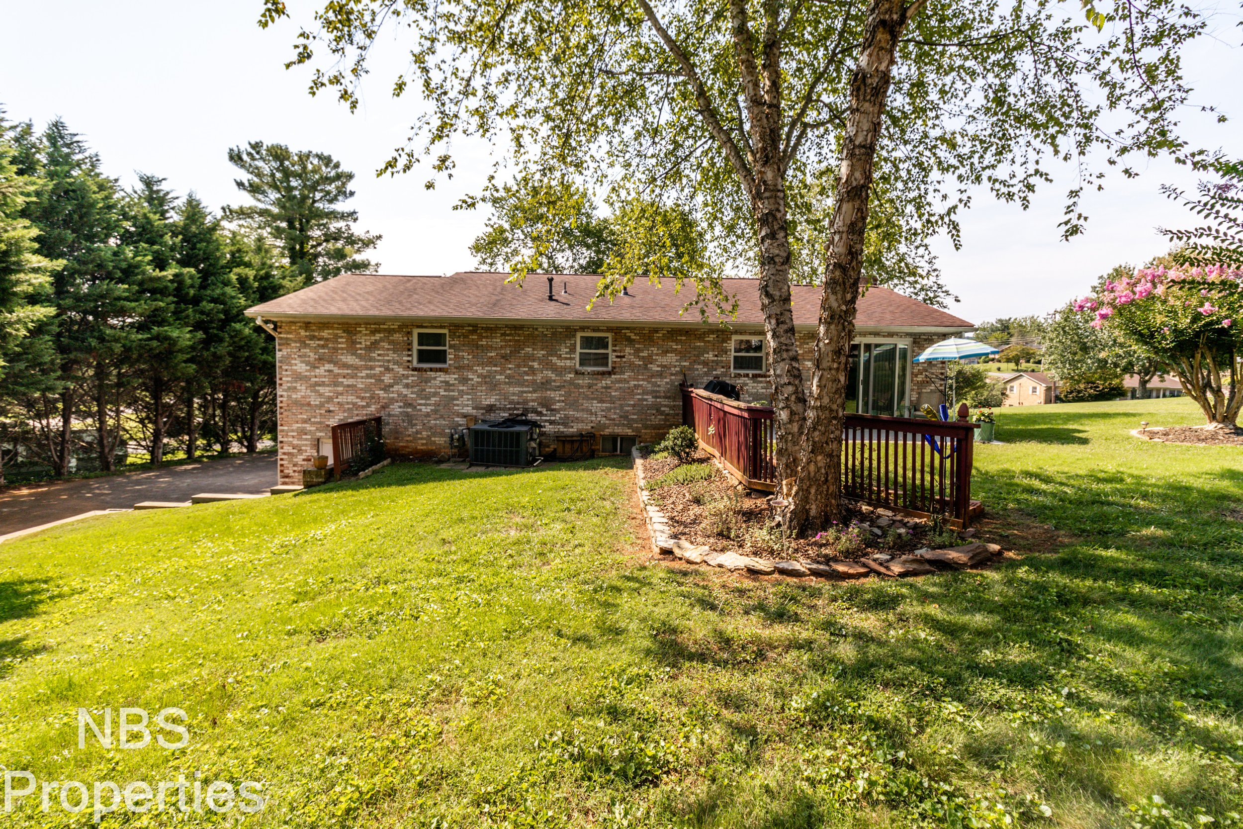Back yard 5_1U6A1860.jpg