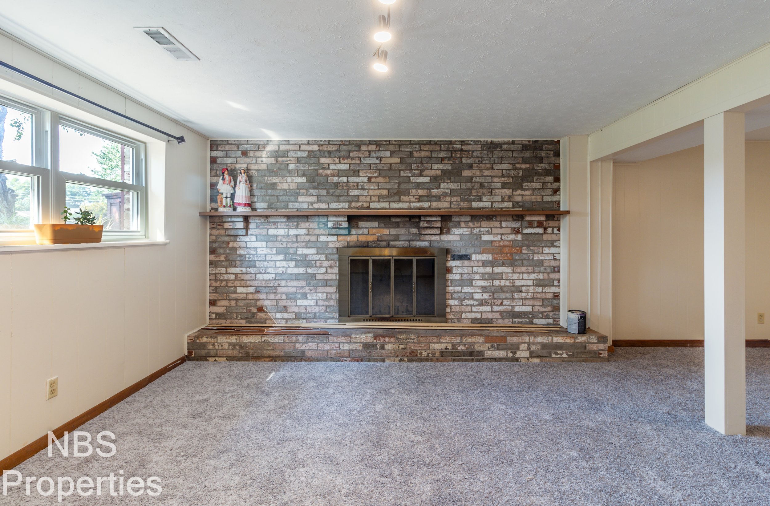 Den:Basement_1U6A1727-Edit.jpg