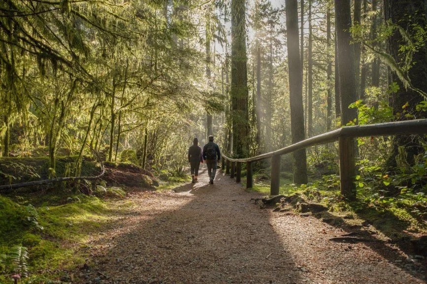 Two people walking through the bush which represents walking alongside one another