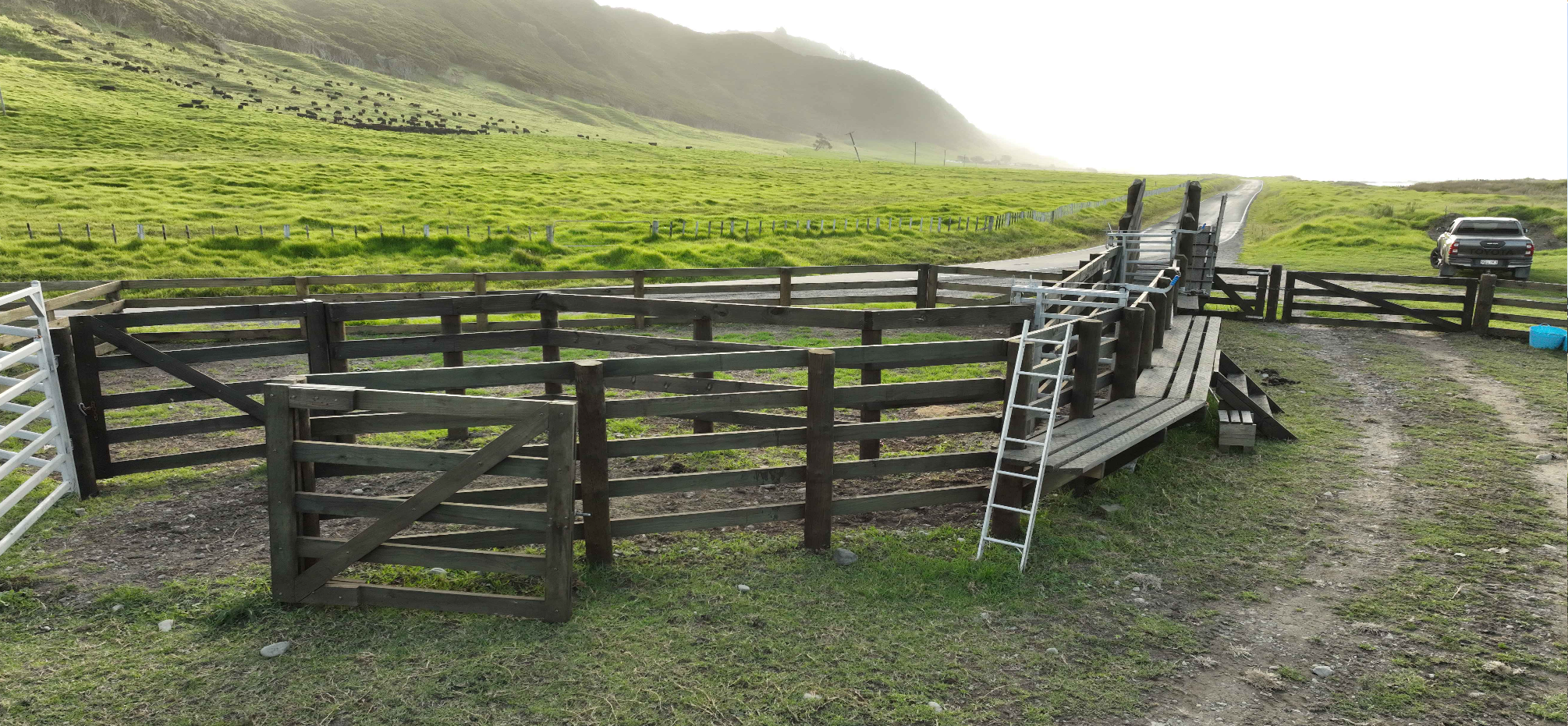 Screenshot 2025-03-14 at 11.12.19 AM.png