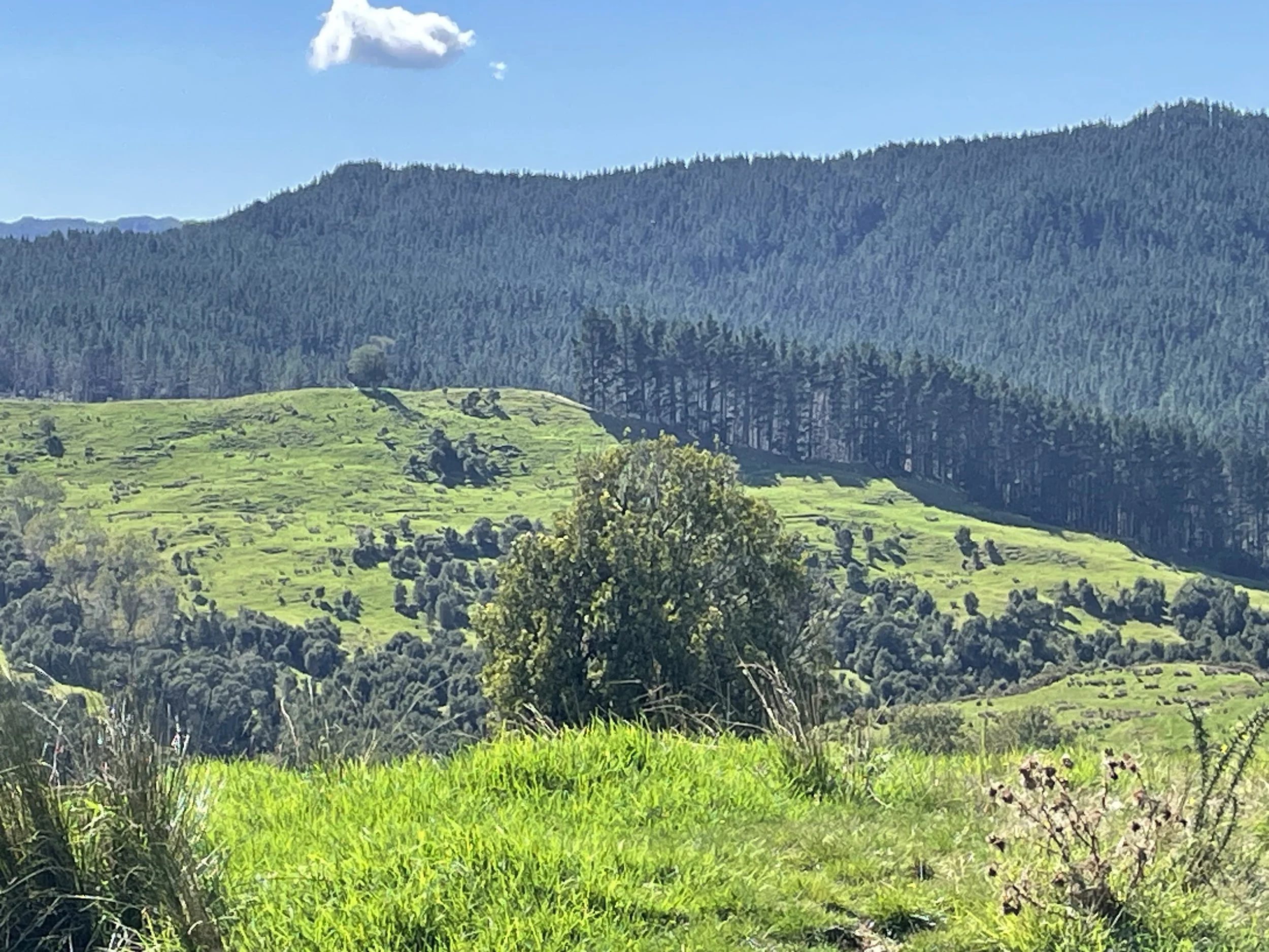 Tikitiki D9: Walking the Line Between Protection and Production