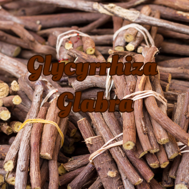 Glycyrrhiza Glabra.png