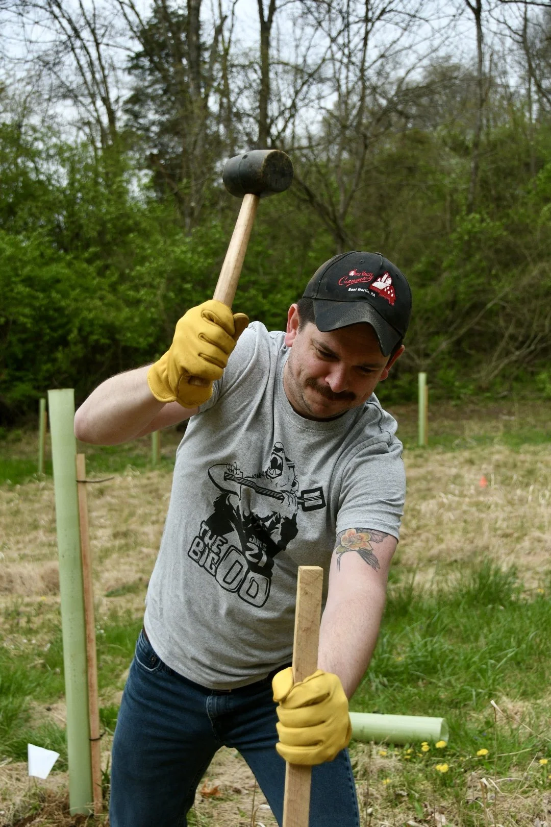 Man wearing a gray t-shirt, black cap, and yellow gloves hammering a wooden stake into the ground outdoors.