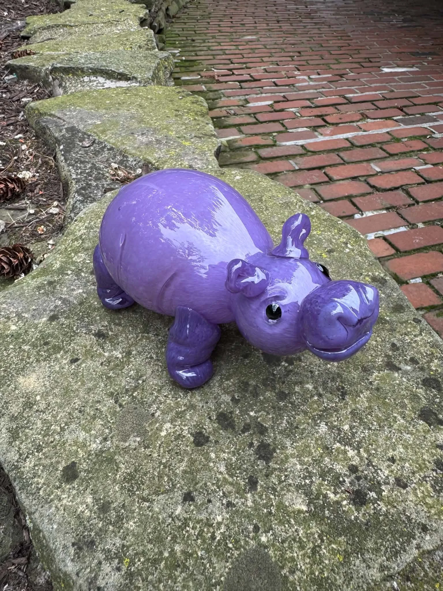 Hippo