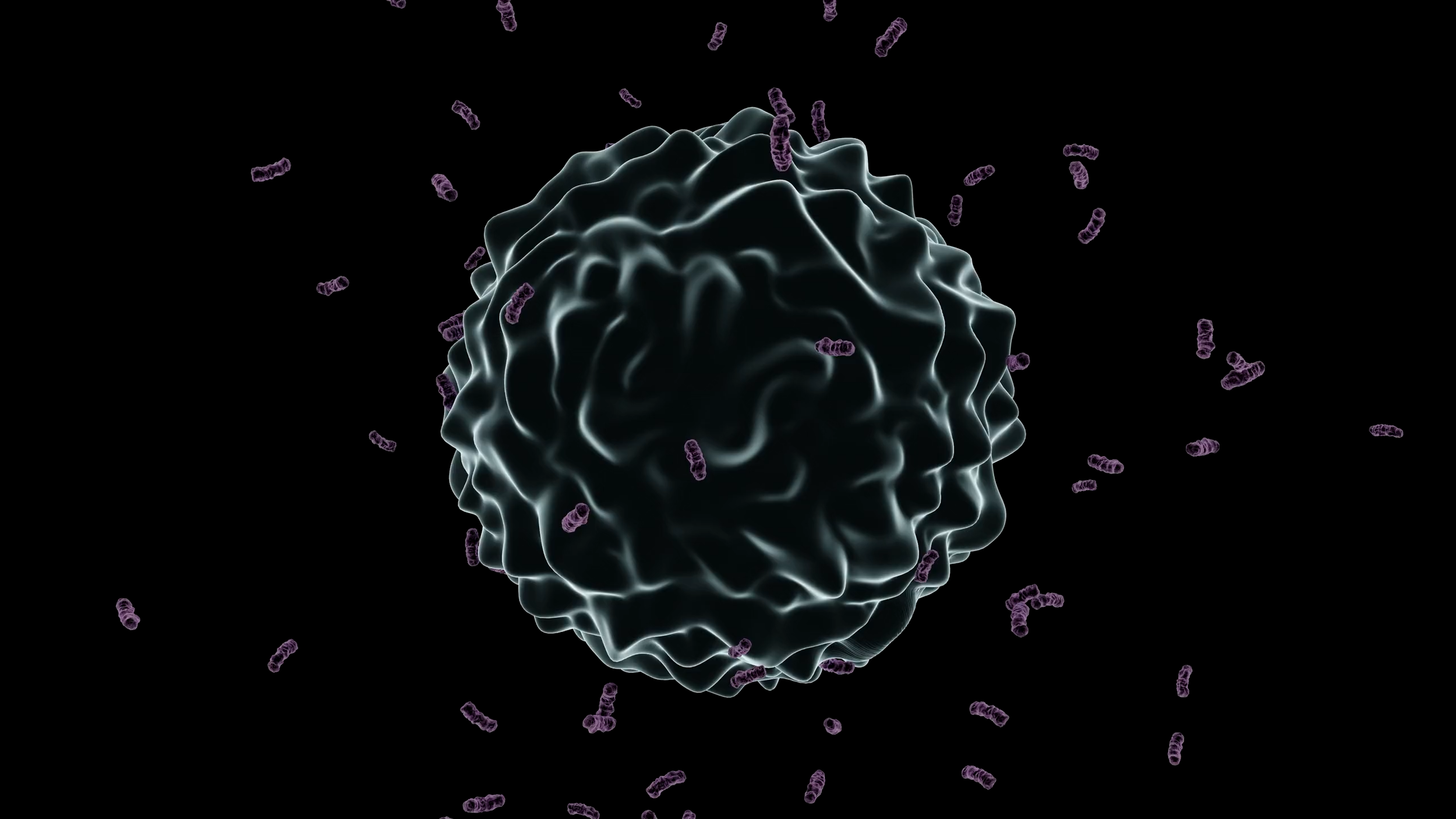 BlenderReel.00_00_00_00.Still004.png