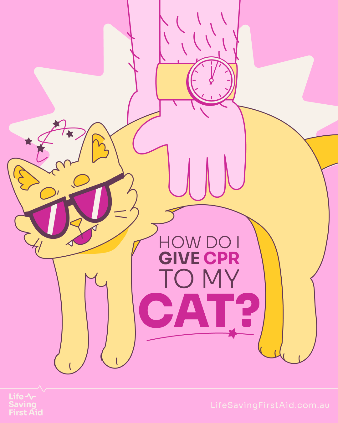 IMG_1448.PNG