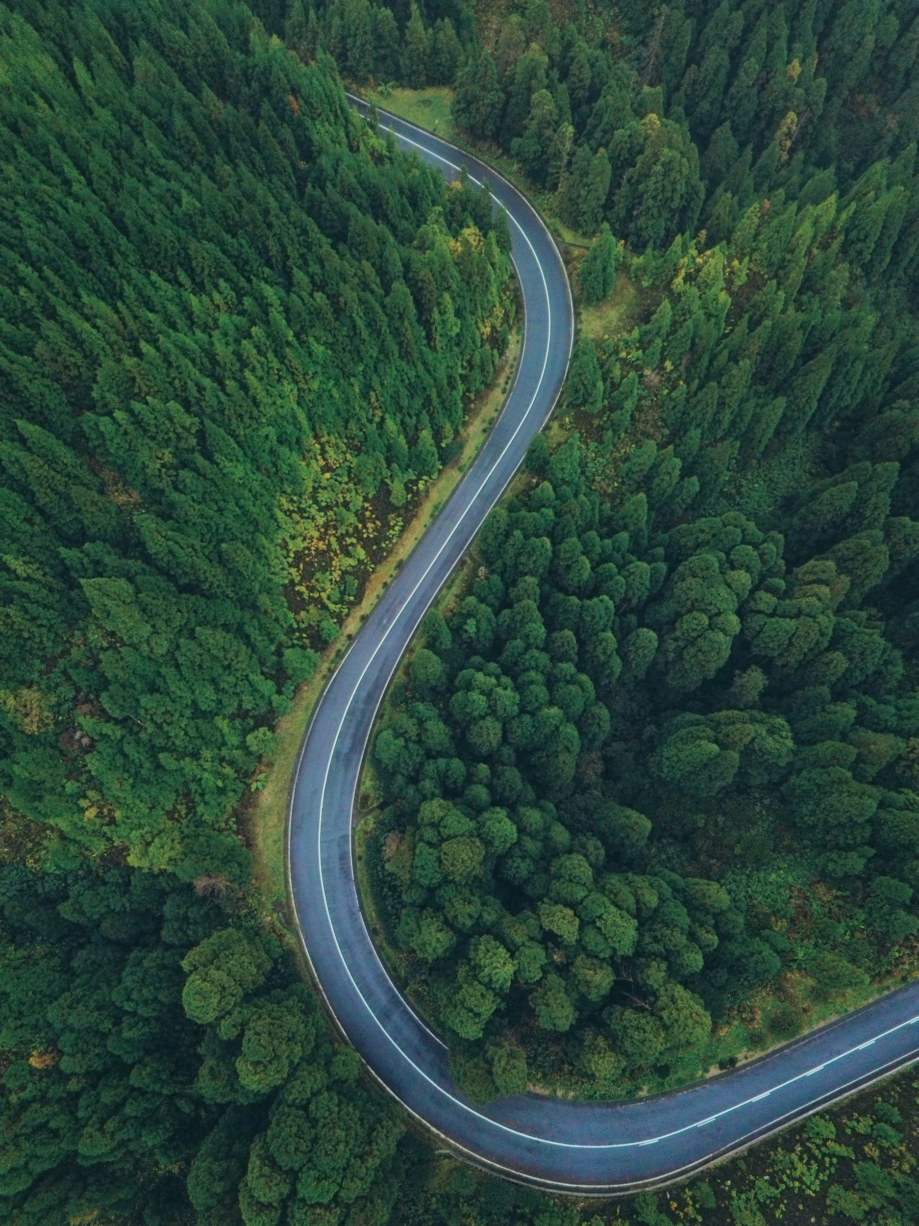 An aerial view of a winding mountain road cutting through a dense forest of green trees.