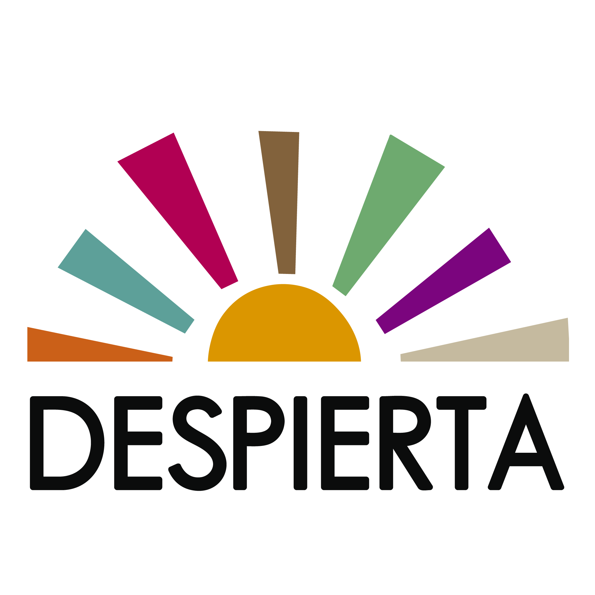 Despierta Charlotte nonprofit logo