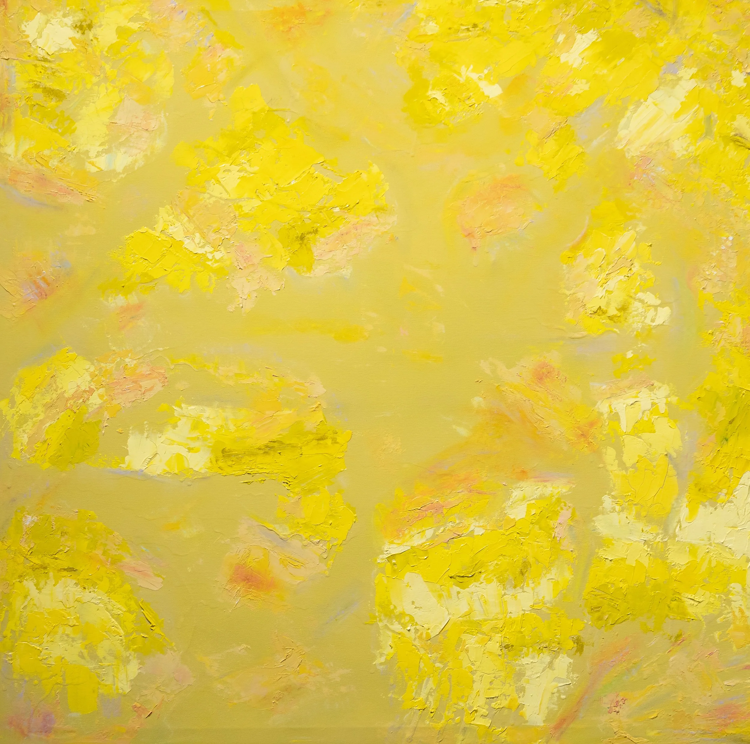 Sunny Disposition