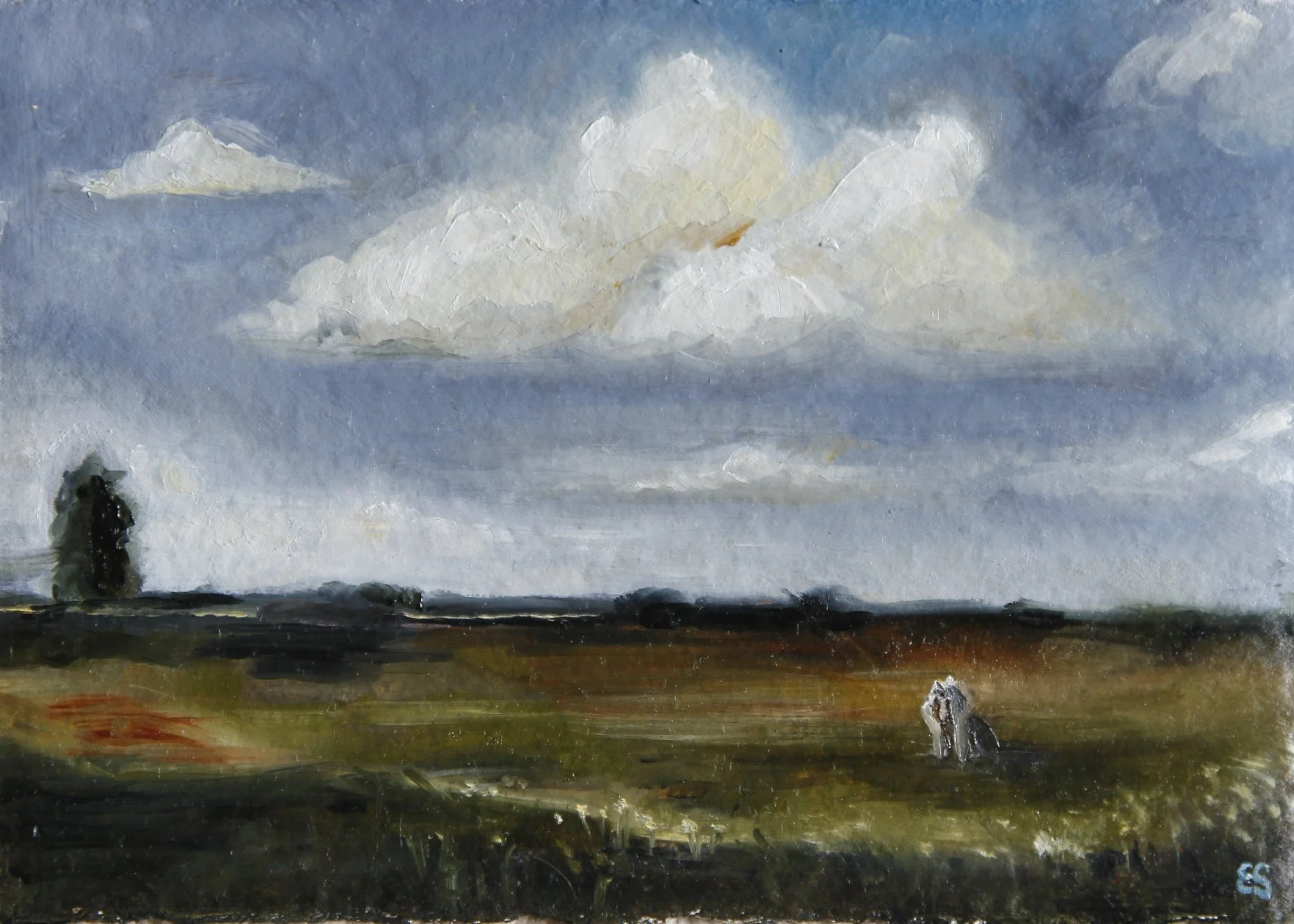 Watching the Sky, 15cm x 21cm, Oil on Cotton Rag Paper - Available at Foray Design Store