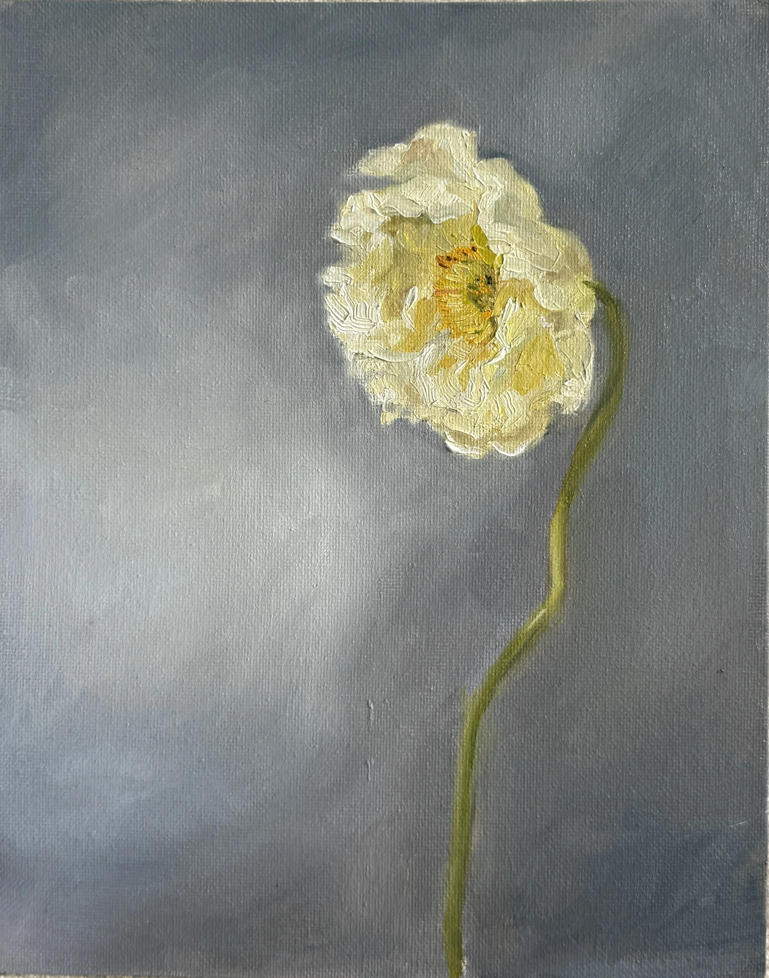 Sun worship, 8" x 10". Oil on canvas panel, Natural Oak Floating Frame Coming soon Sydney Affordable Art Fair