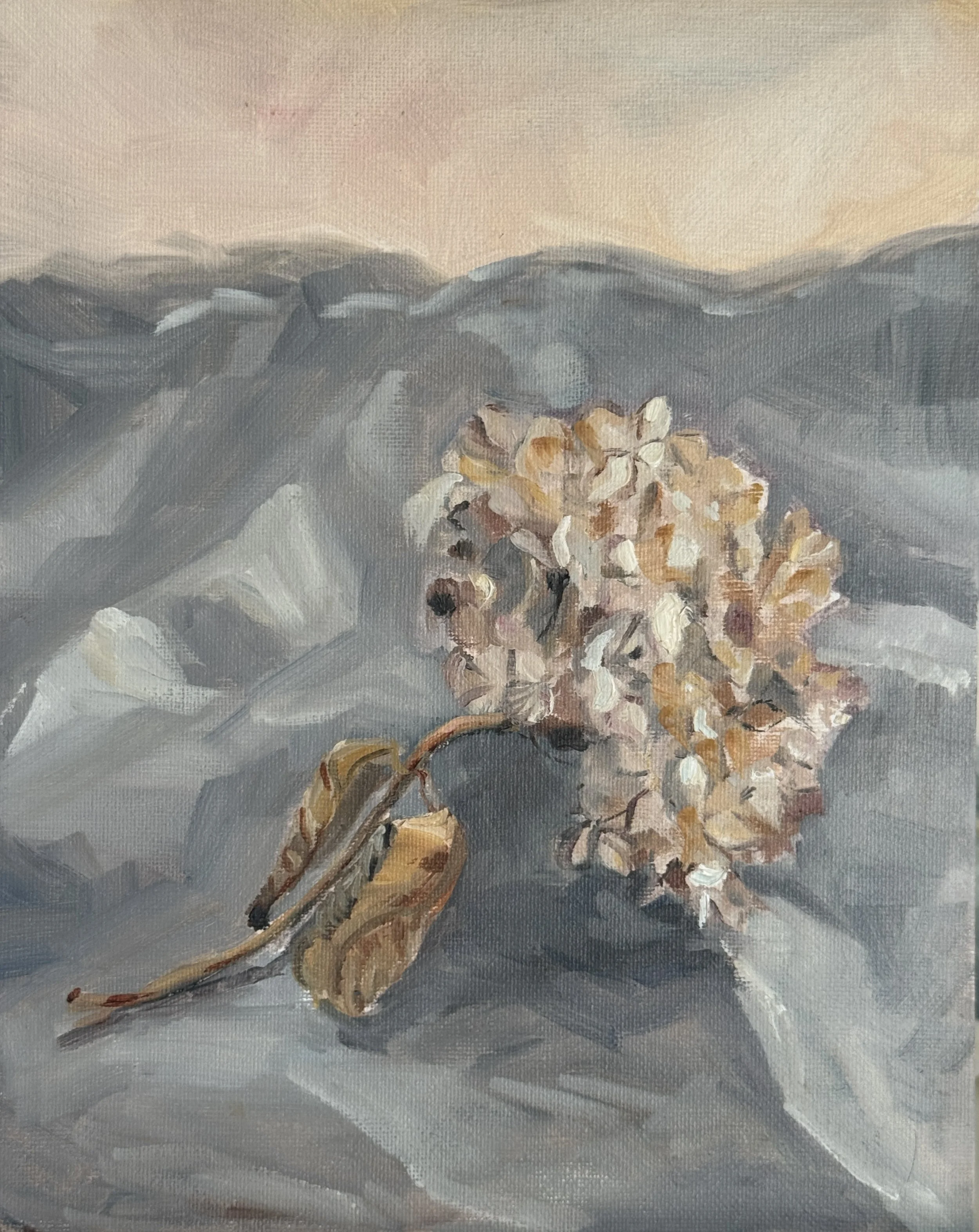 Last Spring, 23 x 28cm, Oil on Canvas Panel, Framed in Natural Oak - Coming Soon