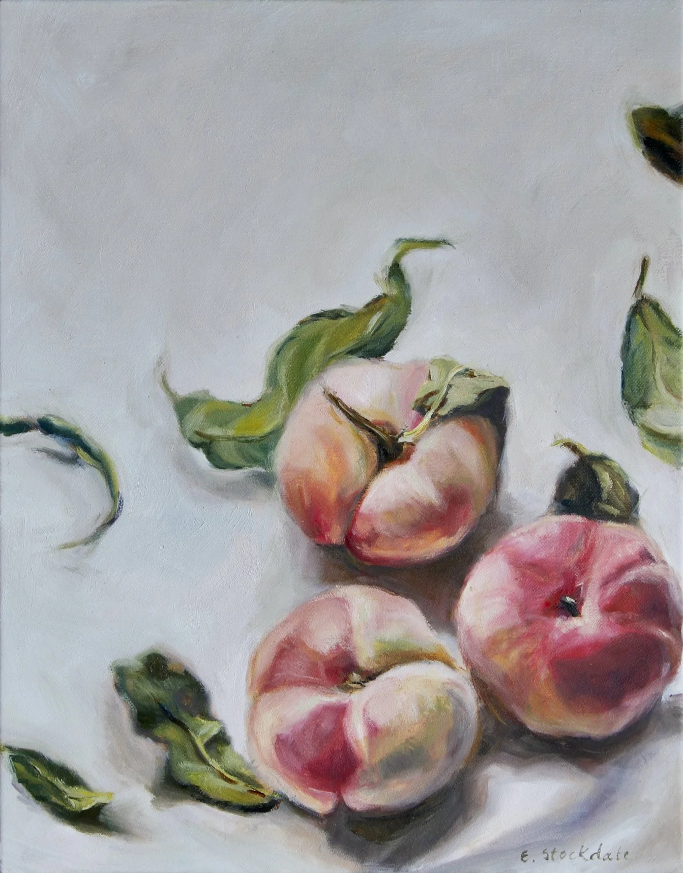 THE TOOWOOMBA GALLERY