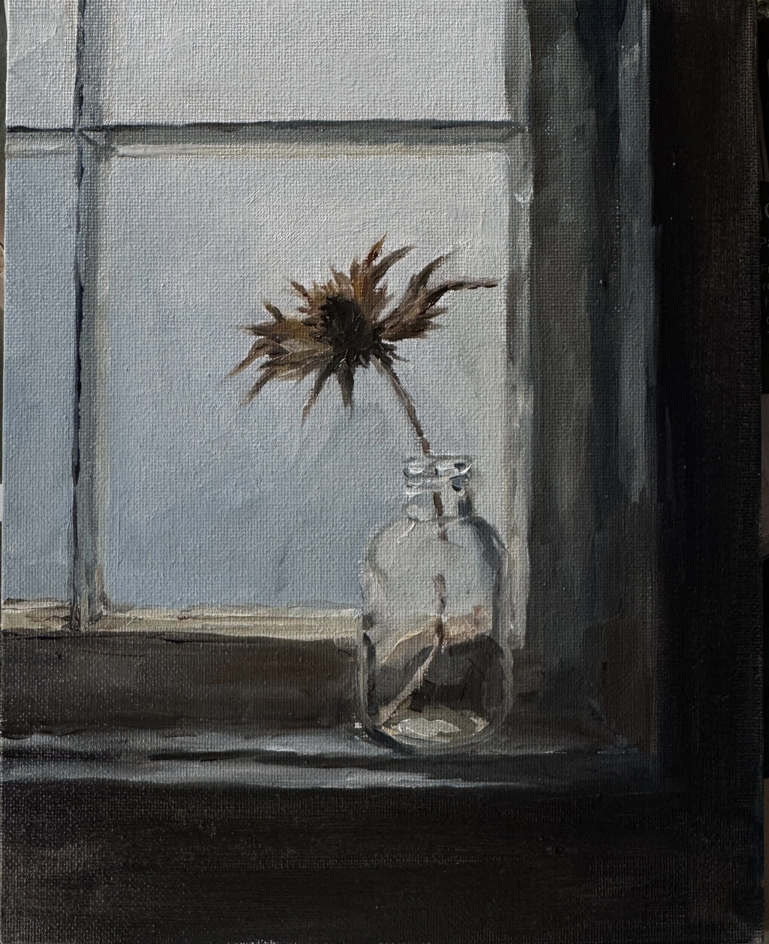 On the window sill, 8" x 10", oil on canvas panbel, natural oak floating frame - Coming soon Sydney Affordable Art Fair