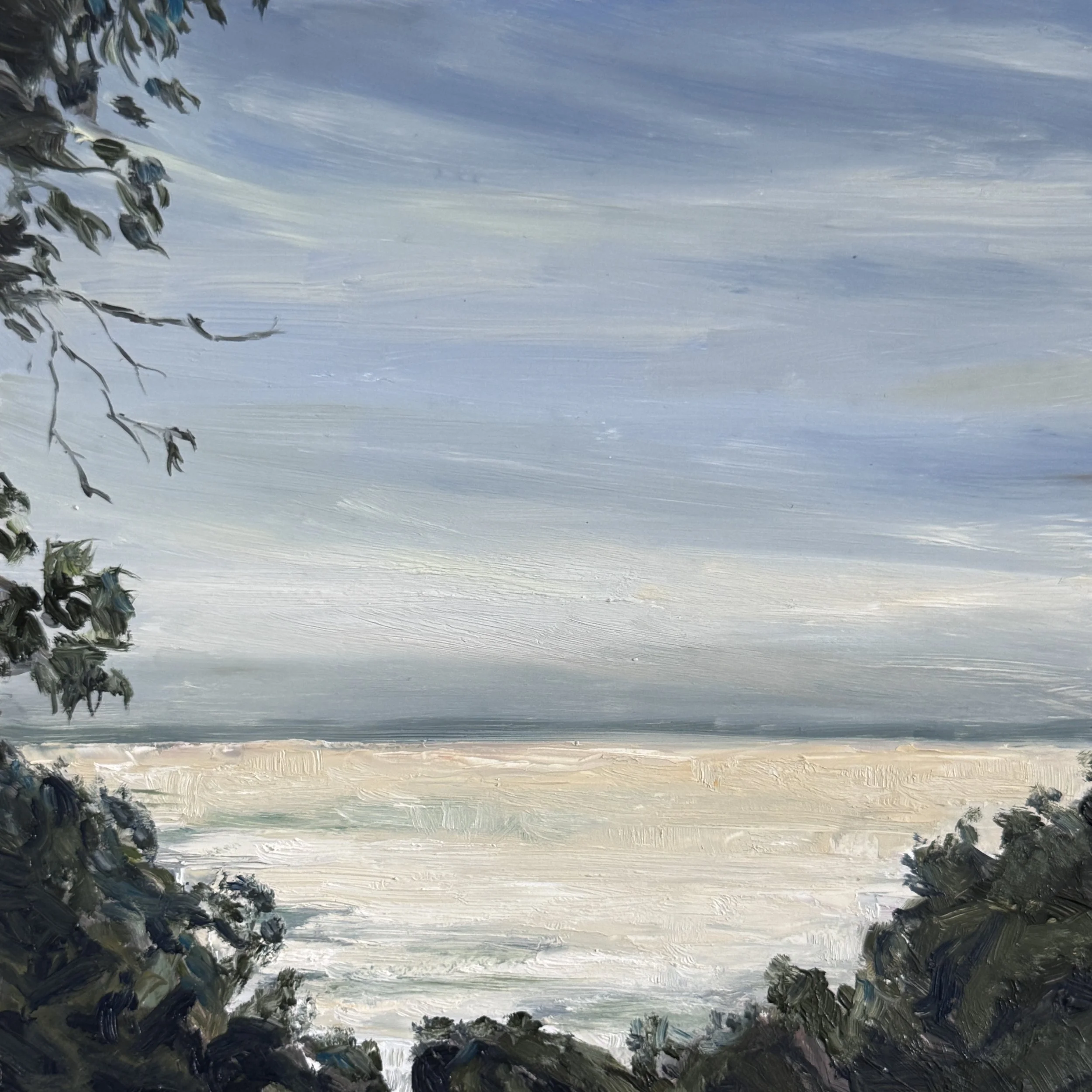 Sunnymeade, Bathed in MOrning Light, AIreys Inlet, Oil on Gesso Panel