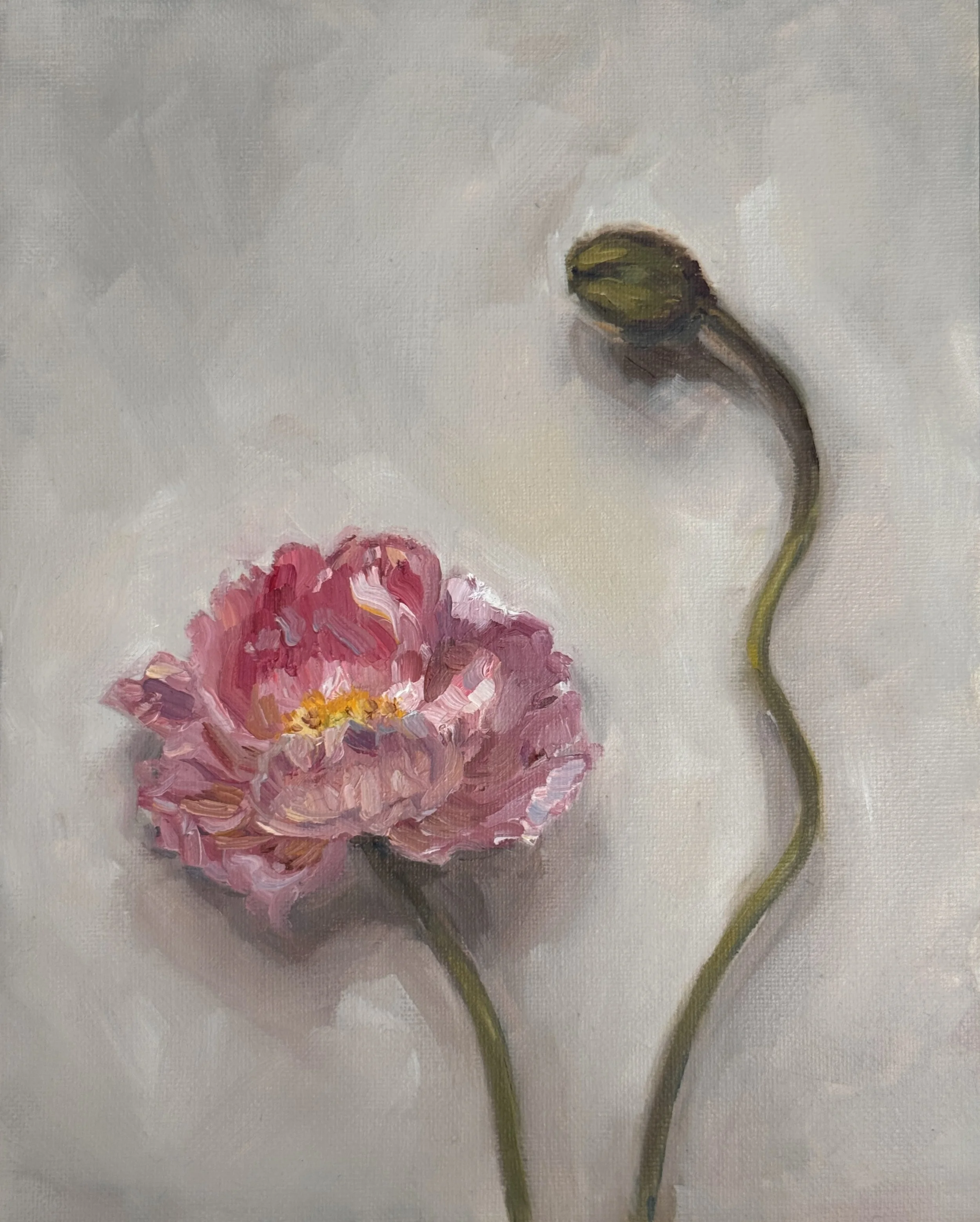 Delicate Blush, 23 x 28cm, Framed in Natural Oak - Coming Soon Sydney Affordable Art Fair