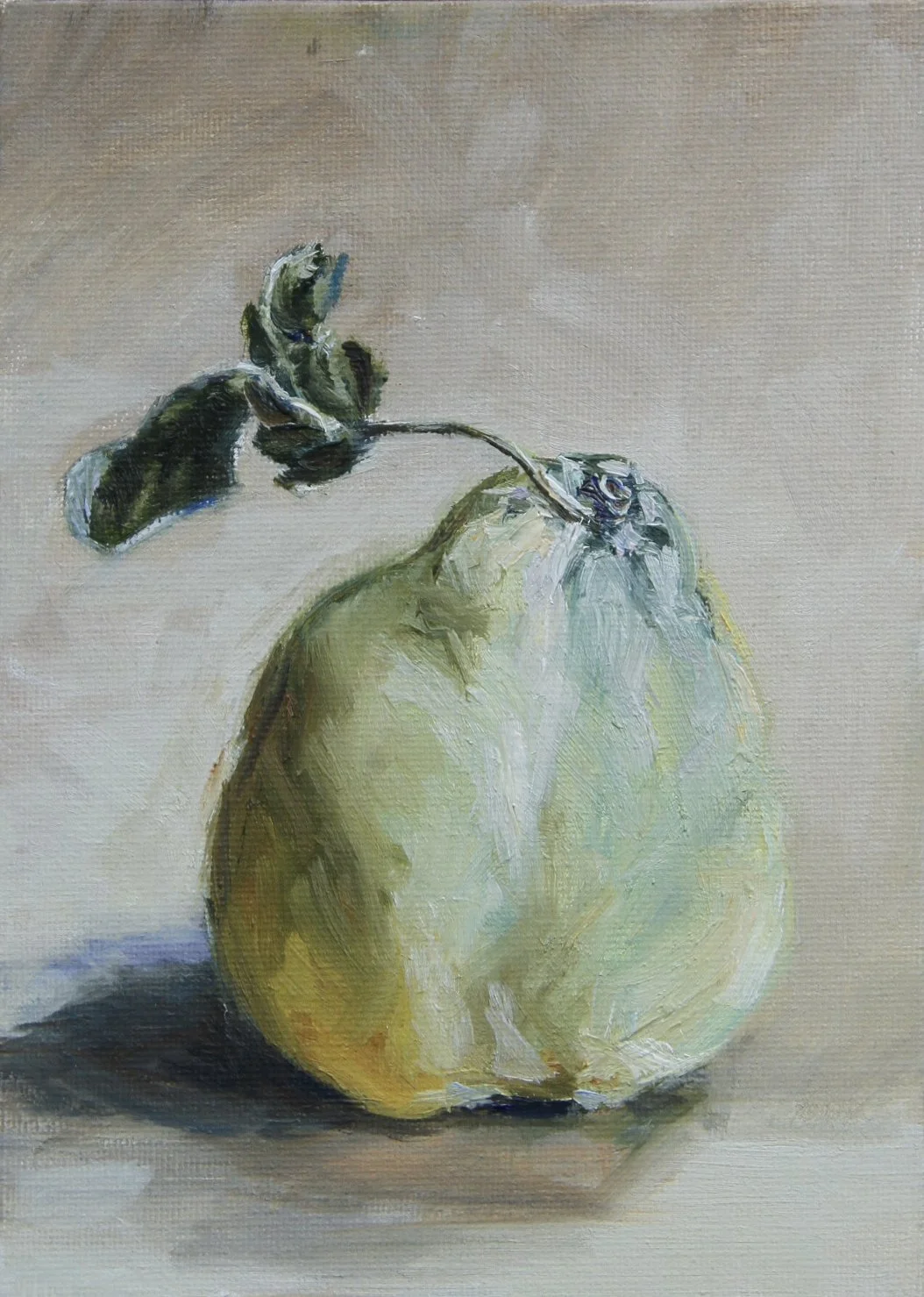 Quince Ombre, 15.5cm x 20.5cm - available at The Toowoomba Gallery