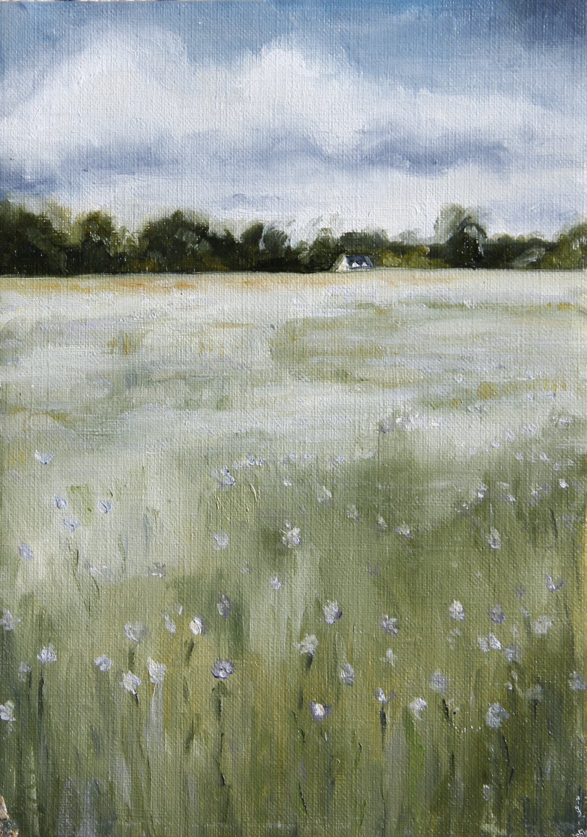 The Linen Field Whispers, 15cm x 21cm  - available at Foray Design Store
