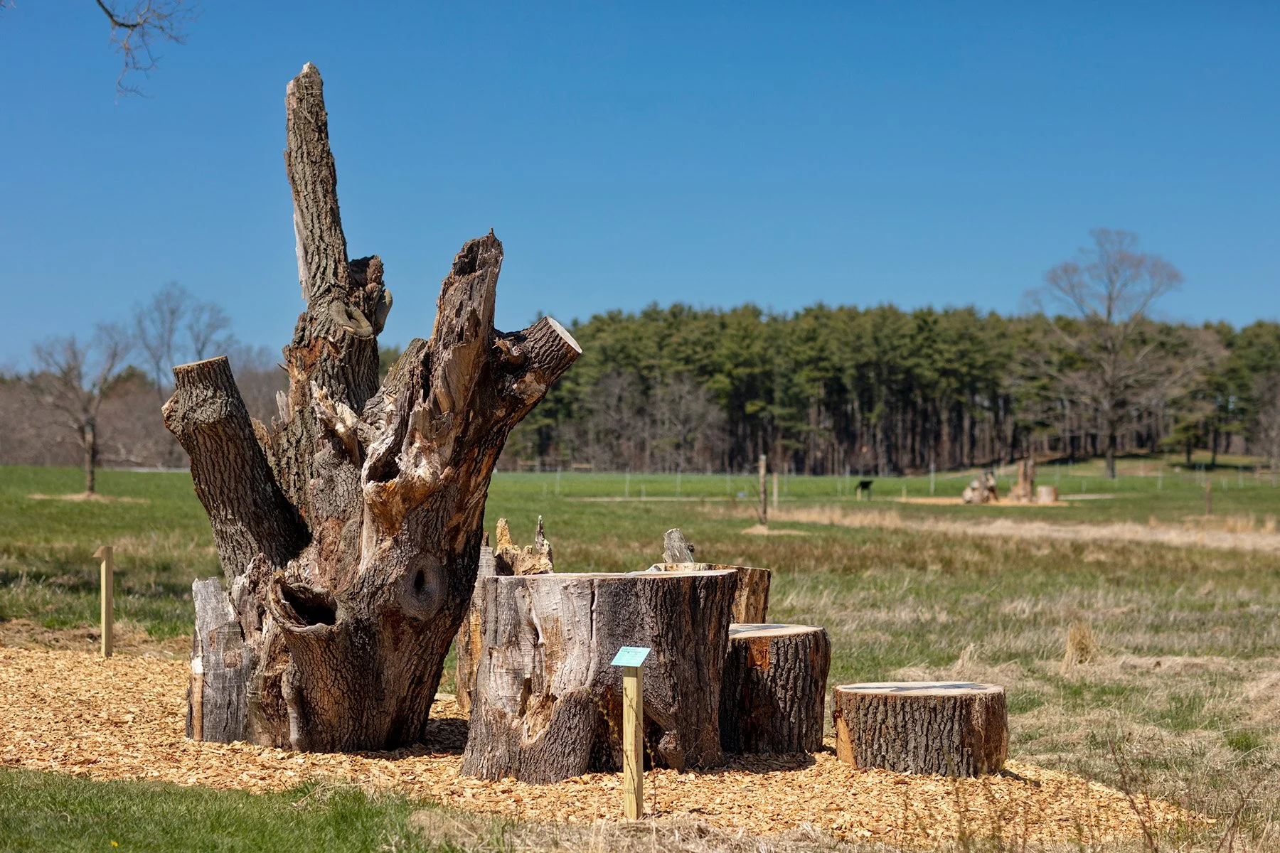 jean-shin_perch-s3_april_004.jpg