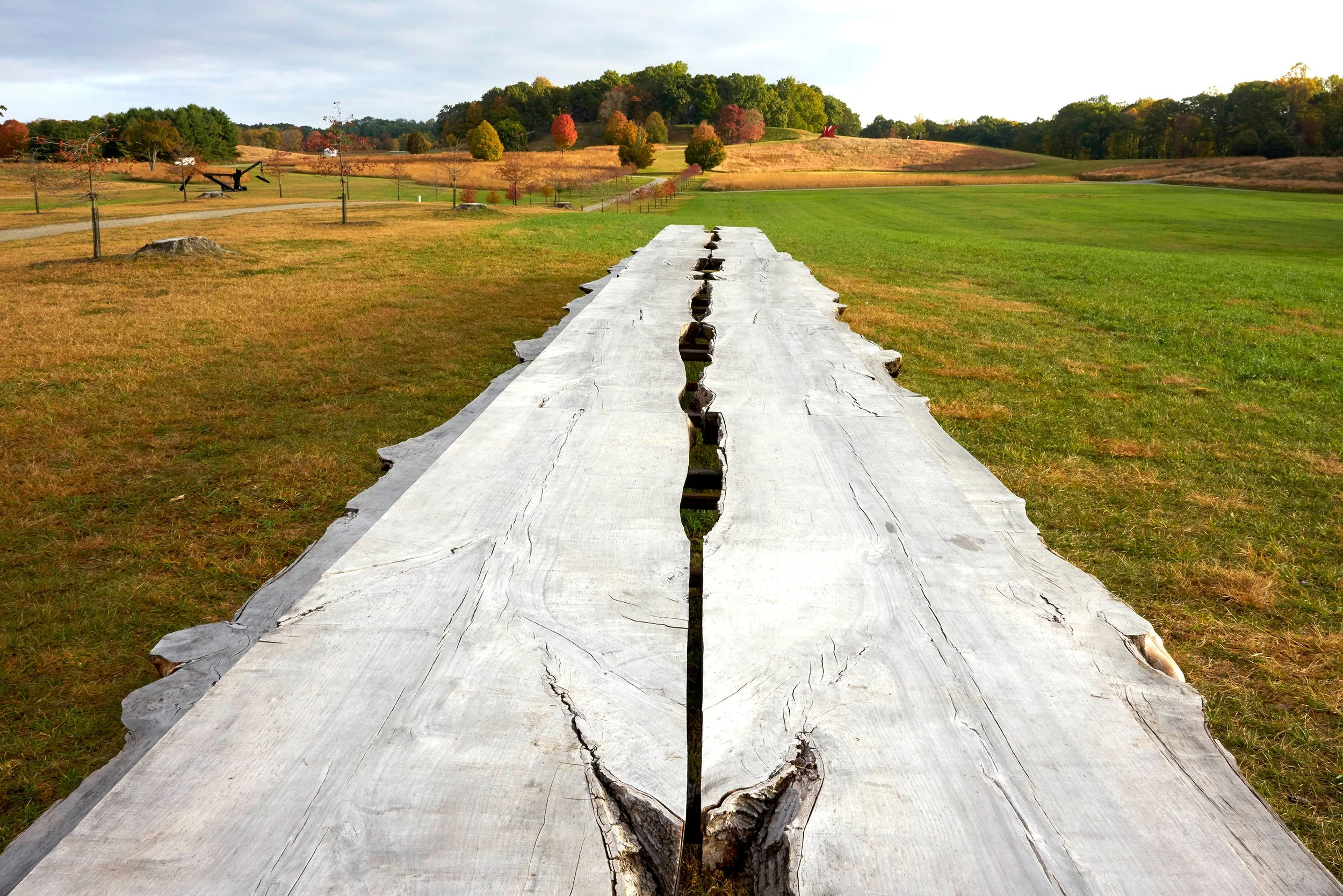 Jean Shin_Allee Gathering_fall3 copy.jpg