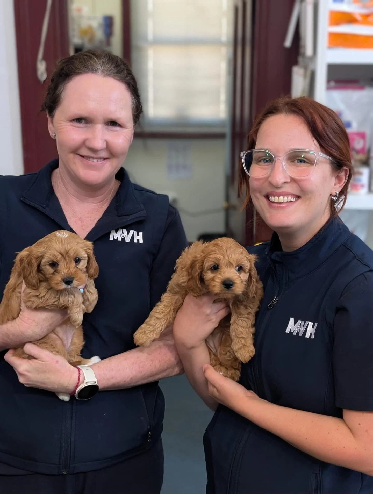 Happy Friday from Zoe and Delilah 🐾 

Little Zoe &amp; Delilah were born here at MVH weeks ago via c-section. Heidi and Kirstie got to enjoy some more cuddles when they came in for their 6 week needles 🫶🏻