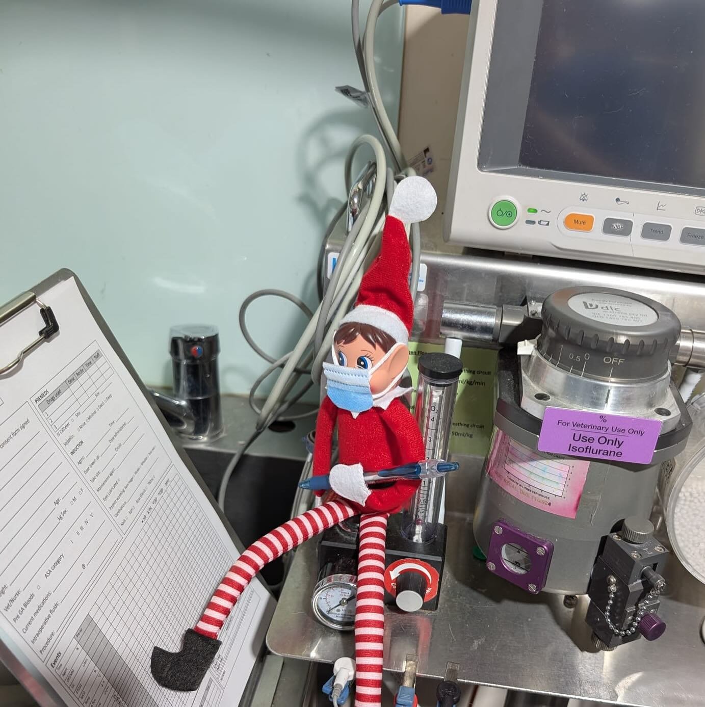 It&rsquo;s officially that time of year&hellip; and our clinic has been visited by a very special helper straight from the North Pole!
Meet &lsquo;Tinsel&rdquo;, our highly enthusiastic, questionably qualified, but extremely festive clinic elf! 

Tod
