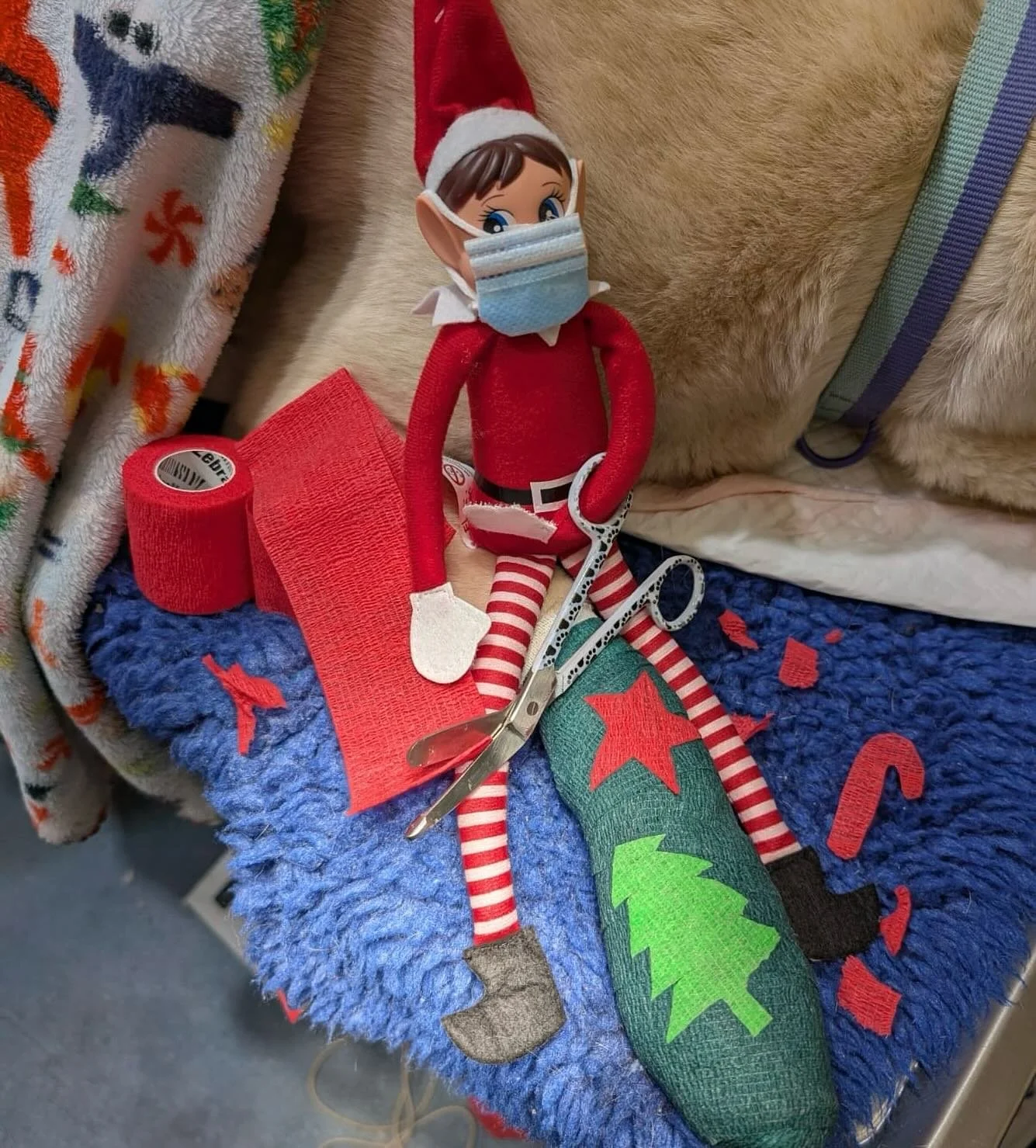Tinsel&rsquo;s Redemption: Day 2

After yesterday&rsquo;s&hellip; incidents, we&rsquo;re pleased to report that Tinsel the Elf took the team&rsquo;s feedback very seriously.

Today, she turned up bright and early, armed with determination, festive sp