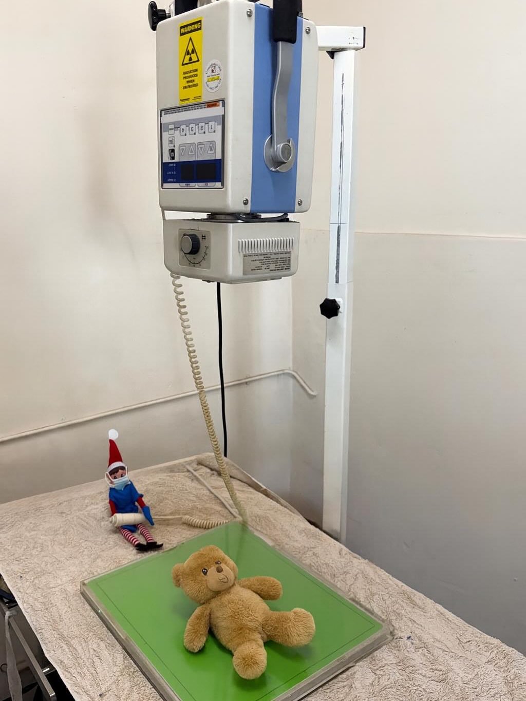 TINSEL&rsquo;S LATEST CASE: ONE VERY BRAVE TEDDY

Just when we thought Tinsel couldn&rsquo;t surprise us anymore&hellip; she turned up this morning with a teddy bear tucked under her arm, insisting it needed urgent X-rays.

According to Tinsel:
🧸 Te