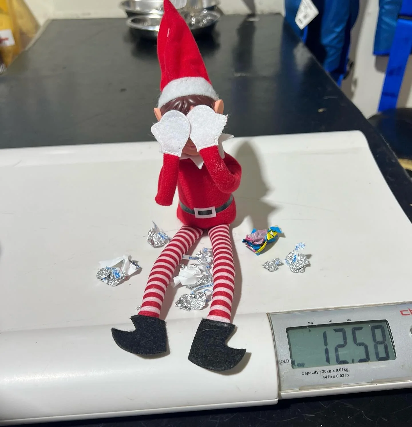 🎄🍫 TINSEL&hellip; THIS IS NOT WHAT WE MEANT BY &ldquo;WEIGH-INS&rdquo; 🍫🎄

Today we found Tinsel the Elf perched on the clinic scales, happily helping herself  to chocolates like it was her full-time job.

Cute? Yes.
Concerning? Also yes.
A great