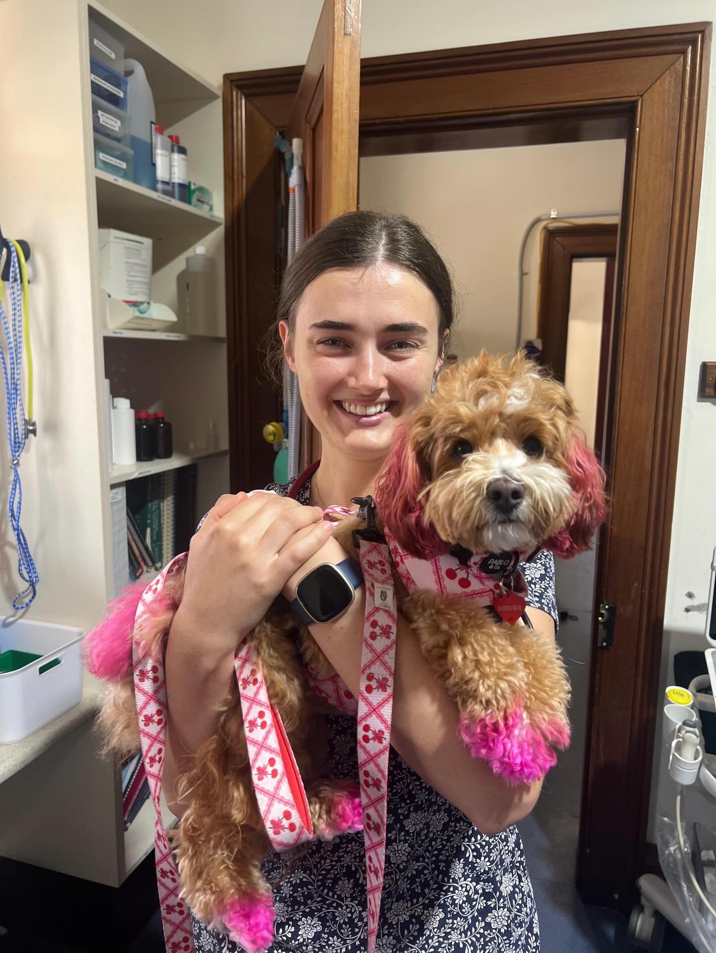 Welcome to the Team, Gemma &amp; Darcy! 🐾

At the beginning of the year we welcomed two wonderful new veterinarians to the Morpeth Veterinary Hospital team Dr Gemma and Dr Darcy.

Since starting with us in January, they have both settled in beautifu