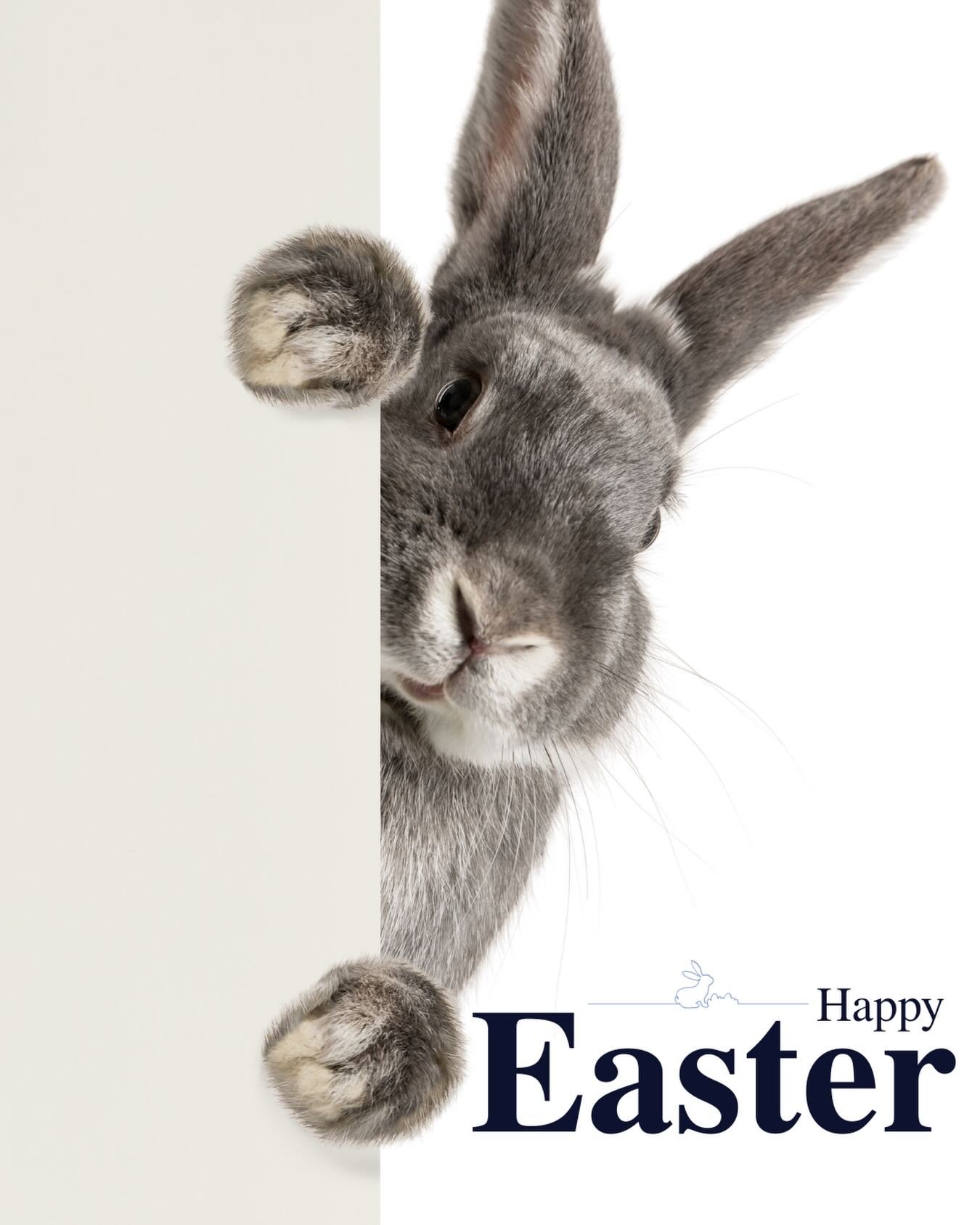 🐣🌼 Happy Easter from the Morpeth Veterinary Hospital Team 🌼🐣
We would like to wish all of our wonderful clients and their animals a happy, safe, and relaxing Easter break.
Please note that our clinic will be closed over the Easter period. During 