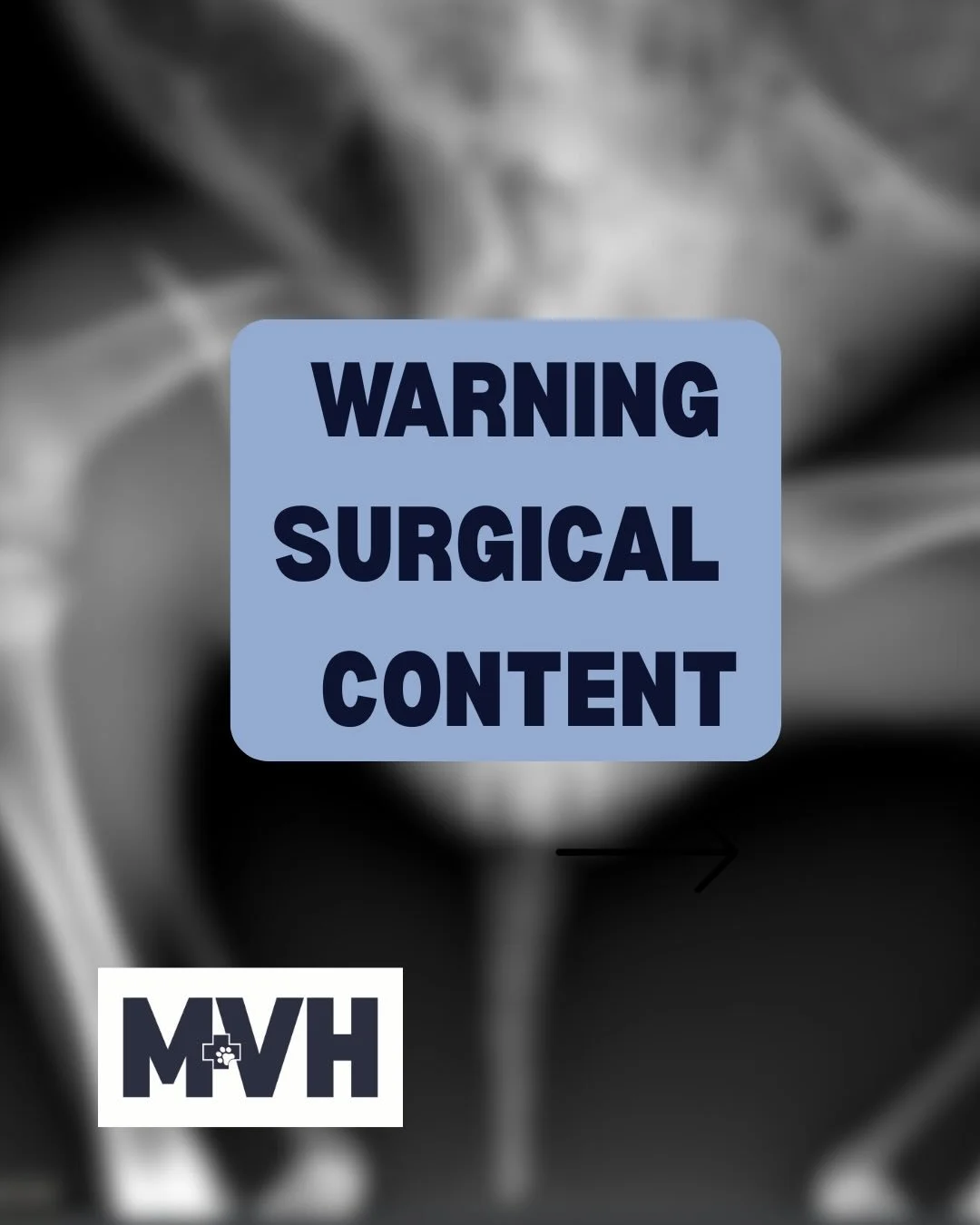 ⚠️ Content Warning: This post contains surgical images, including before and after X-rays and an intra-operative image showing a fracture plate fixed in place.

When we say we love being a mixed practice veterinary clinic we truly mean we love treati