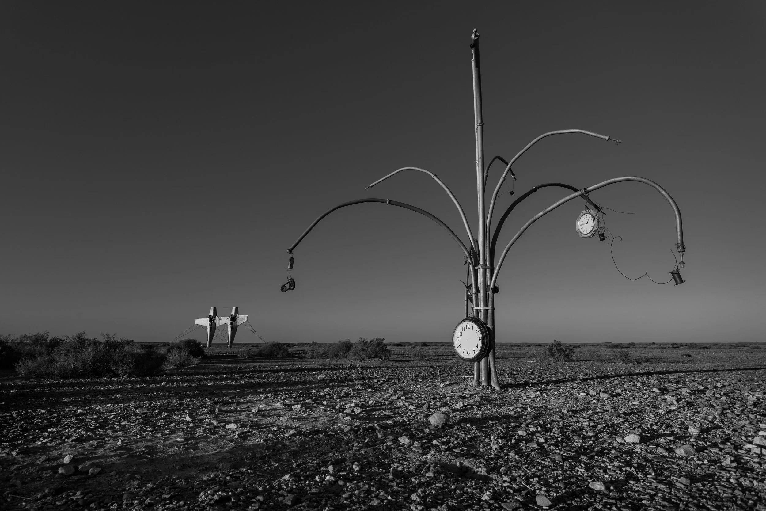 Mutonia Sculpture Park Clock Tree