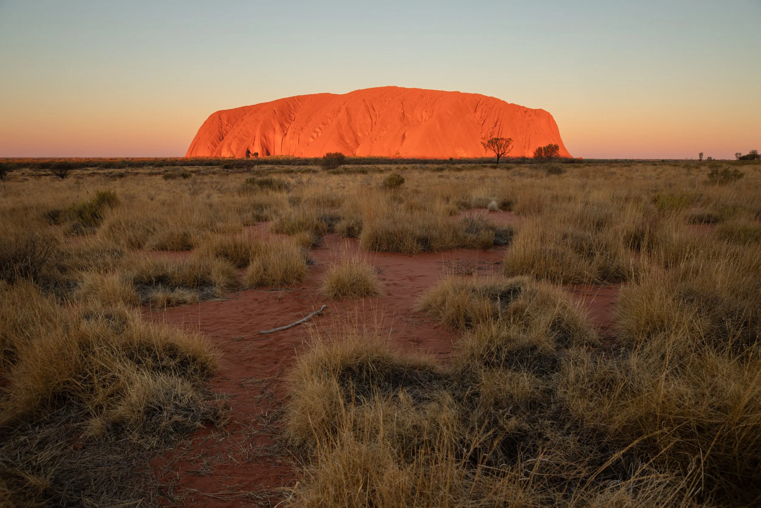 Uluru Afternoon