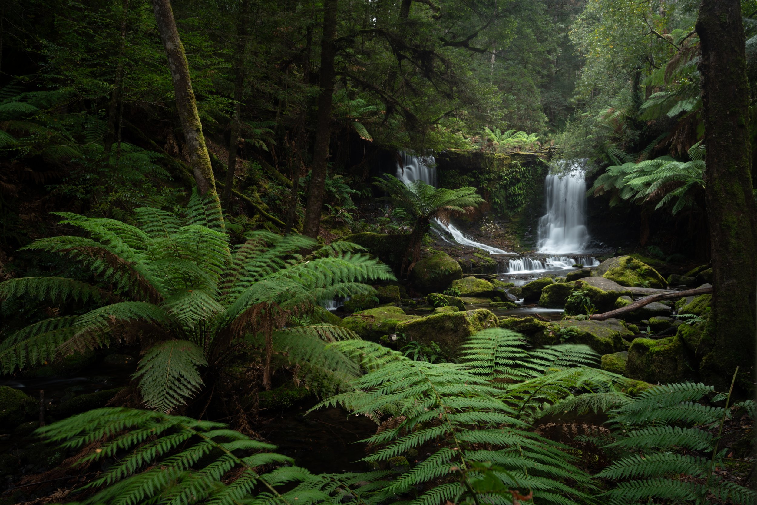 Horseshoe Falls Landscape