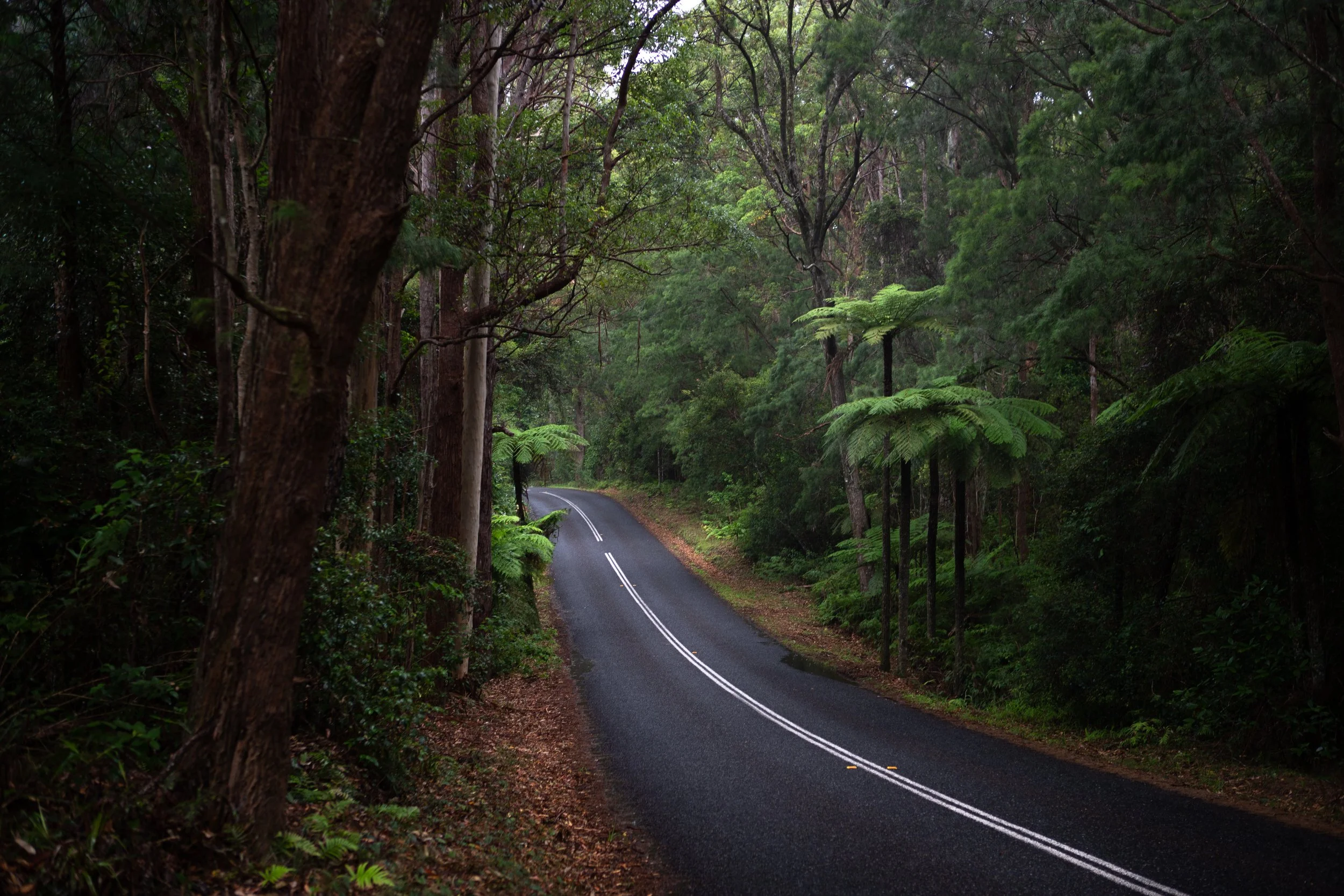 Sunshine Coast Road