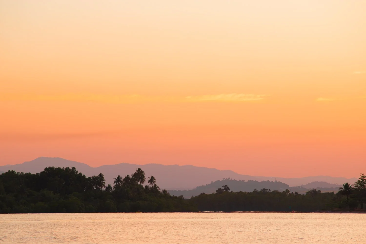 Coconuts Sunset | Coconuts
