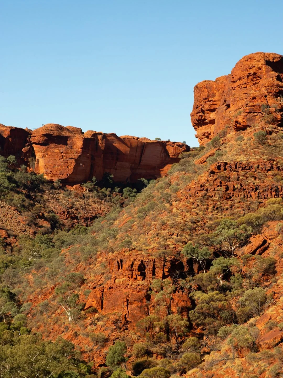 Pretty chuffed to be heading off to the good old outback again shortly.

See some of these shots and more in @visitcentralaus article about my adventure through Kings Canyon a few years back. 

#adventurecommunity #throughyourlens  #ausgeo #seeaustra