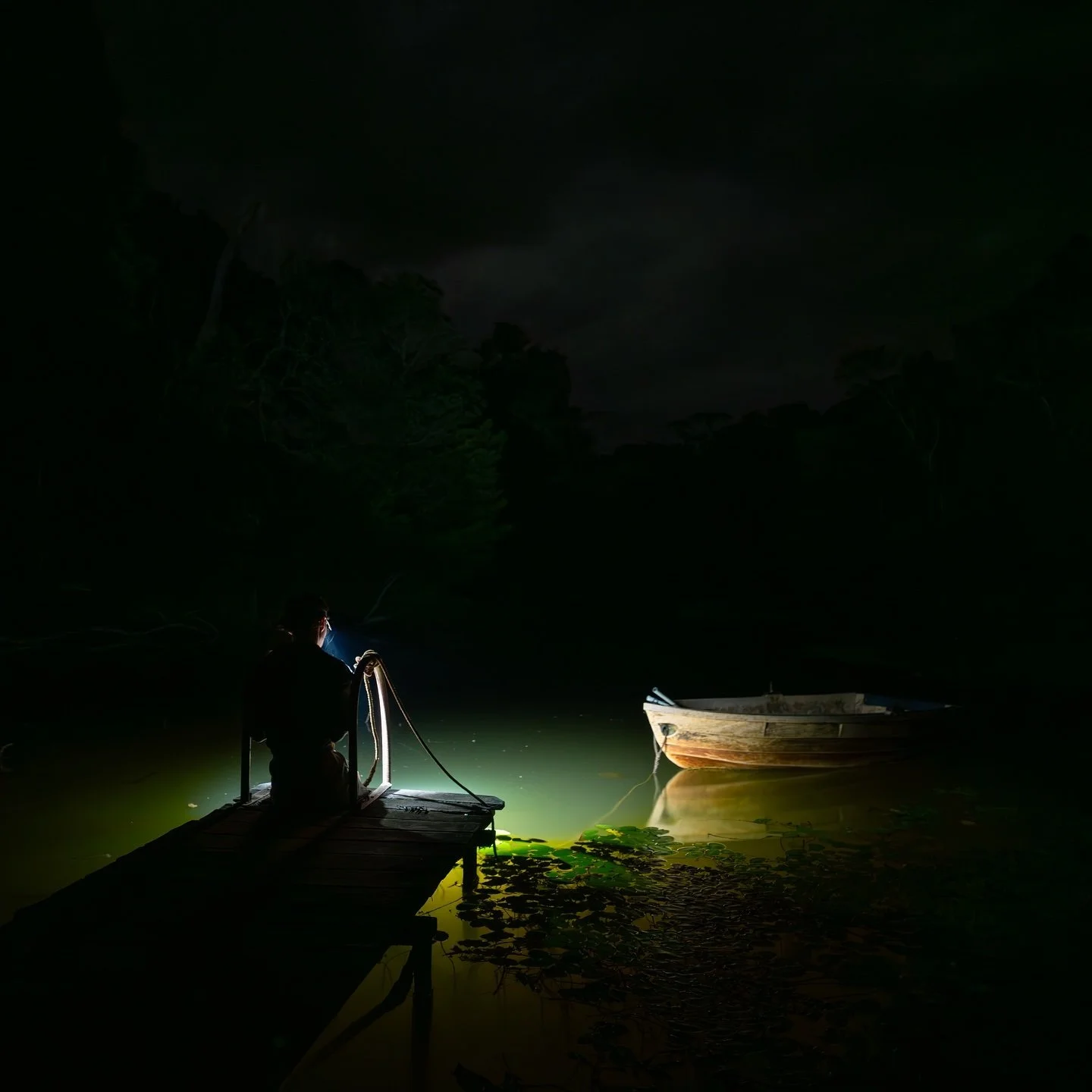 Looking forward to another year of chasing yowies in the moonlight 

#tropicalnorthqueensland #thisisqueensland #athertontablelands #cairns #sonyphotography #adventurephotography