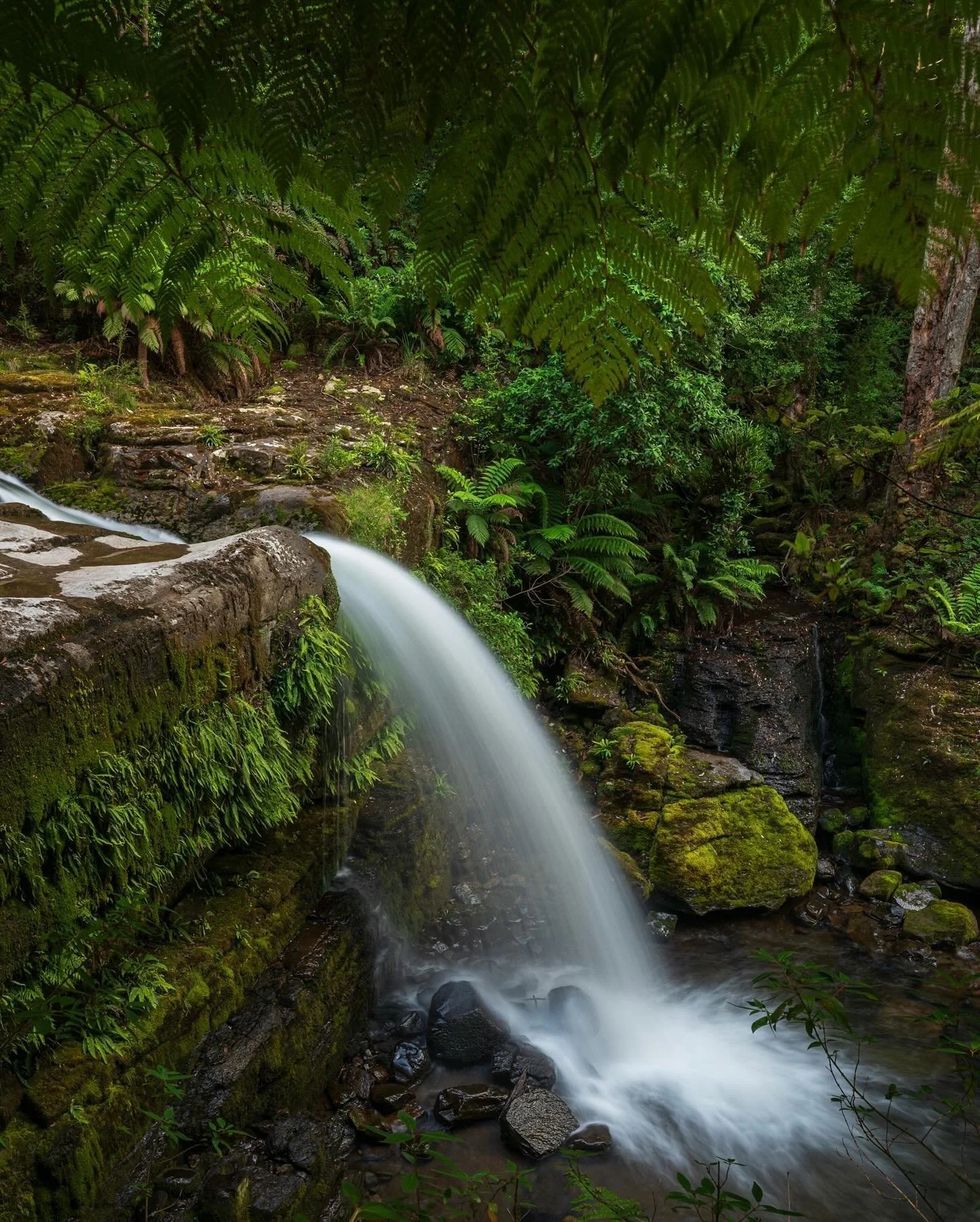 One of the most wonderfully surprising places of a recent trip to @tasmania. This is one waterfall along a whole series of sandstone falls flowing into the Liffey River. A beautiful part of the world I&rsquo;m planning on getting back to this winter 