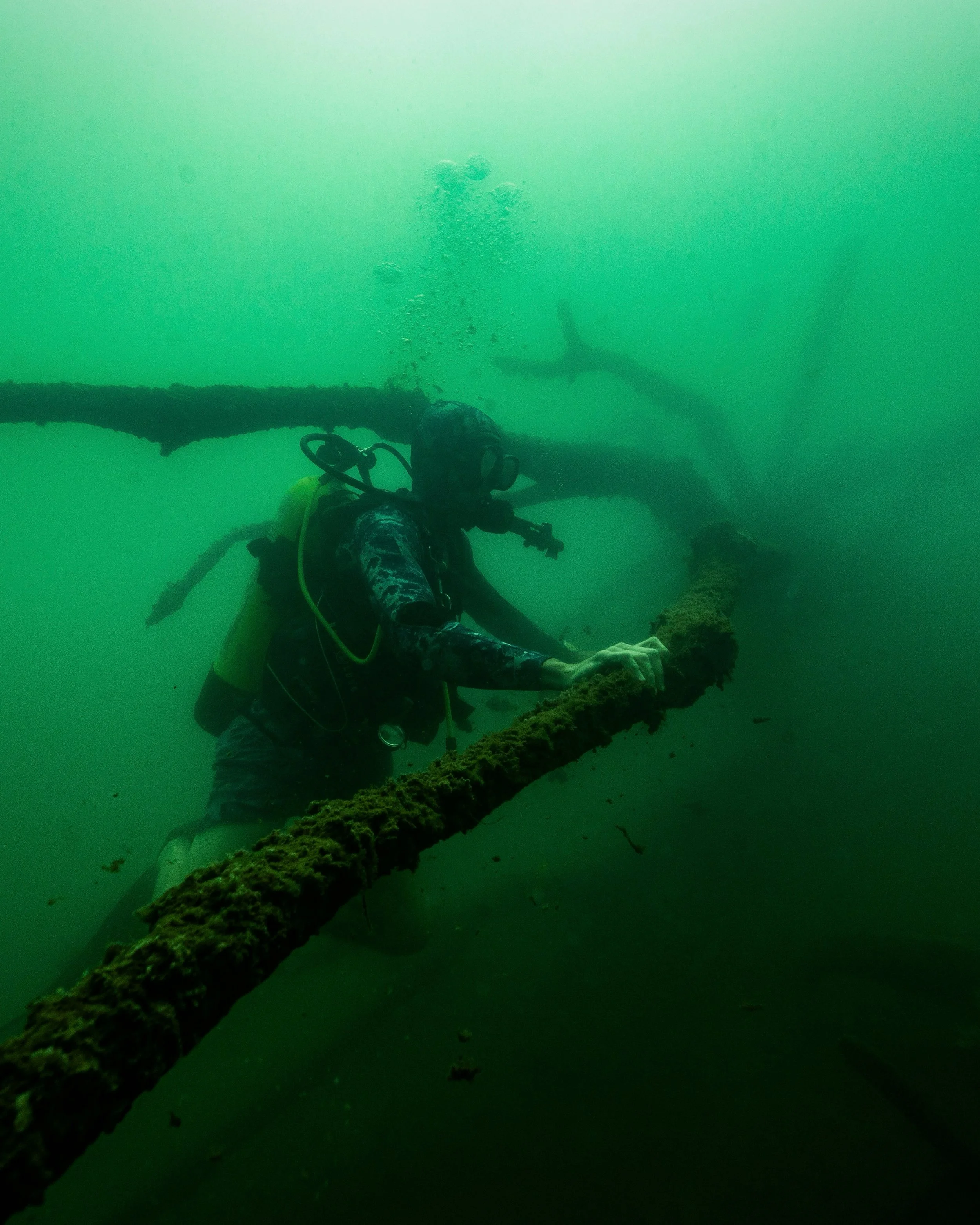 Diving into the depths of Lake Eacham. Fallen trees from the banks of the volcanic crater make for some surreal underwater scenes. 

@athertontablelands @we_are_explorers @tropicalnorthqueensland 

#agadventure #lakeeacham #tropicalnorthqueensland #e