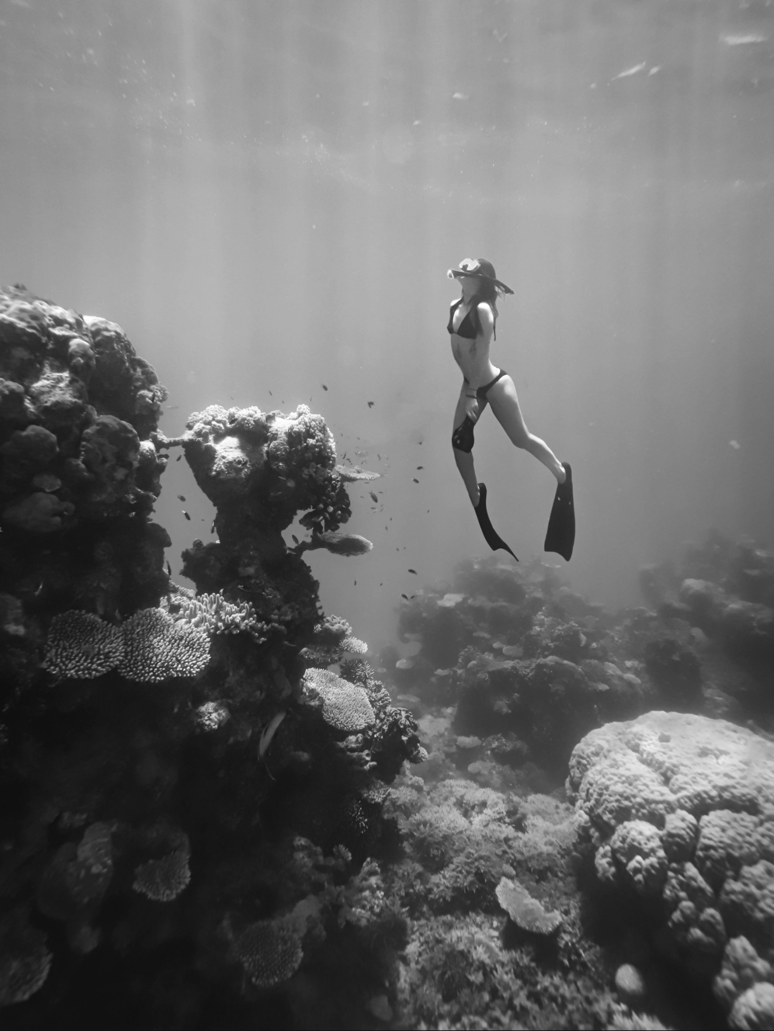 Old memories with @natureg0th looking for things to photograph under the waves. Shout out to @divers_den for the day out - every day on the reef is an adventure! 

📷 Canon 6d mk2 with @aquatech_imagingsolutions housing 

#diversden #tropicalnorthque