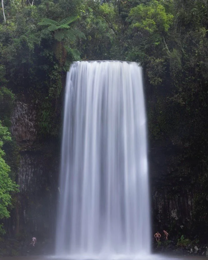 Swipe right to see the full panorama of arguably the most OCD pleasing waterfall in Australia - the mighty Milla Milla Falls. It flows all year round in near perfect laminar flow. 

#millamillafalls #wooroonoorannationalpark #tropicalnorthqueensland 