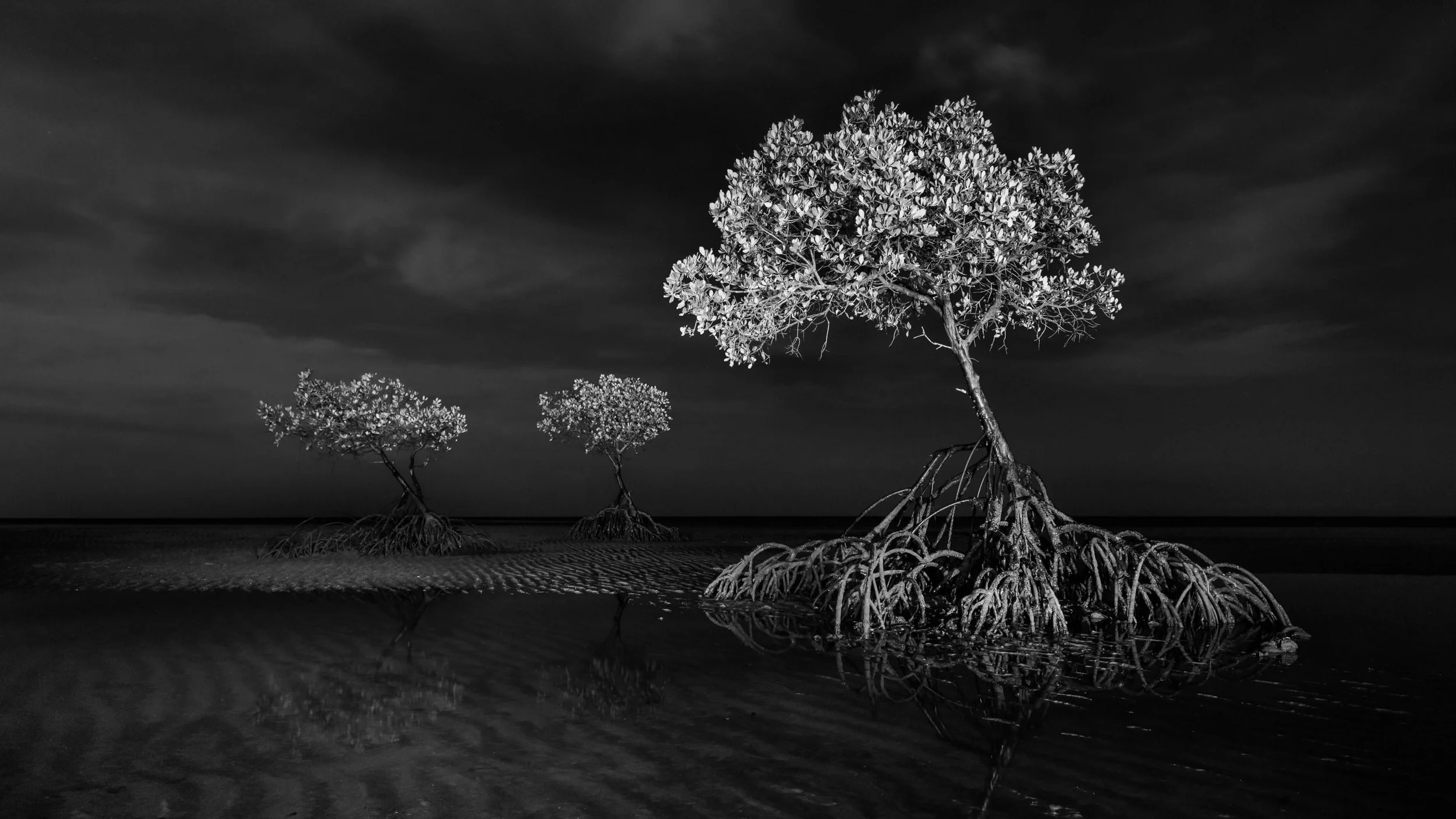 Day or night? Can be hard to tell in black and white. 

Check out the second image &lsquo;Yule Point&rsquo; in the @solas_shadow exhibition &lsquo;Black &amp; White&rsquo; starting tomorrow 🤙 

#astrophotography #yulepoint #exploretnq #tropicalnorth