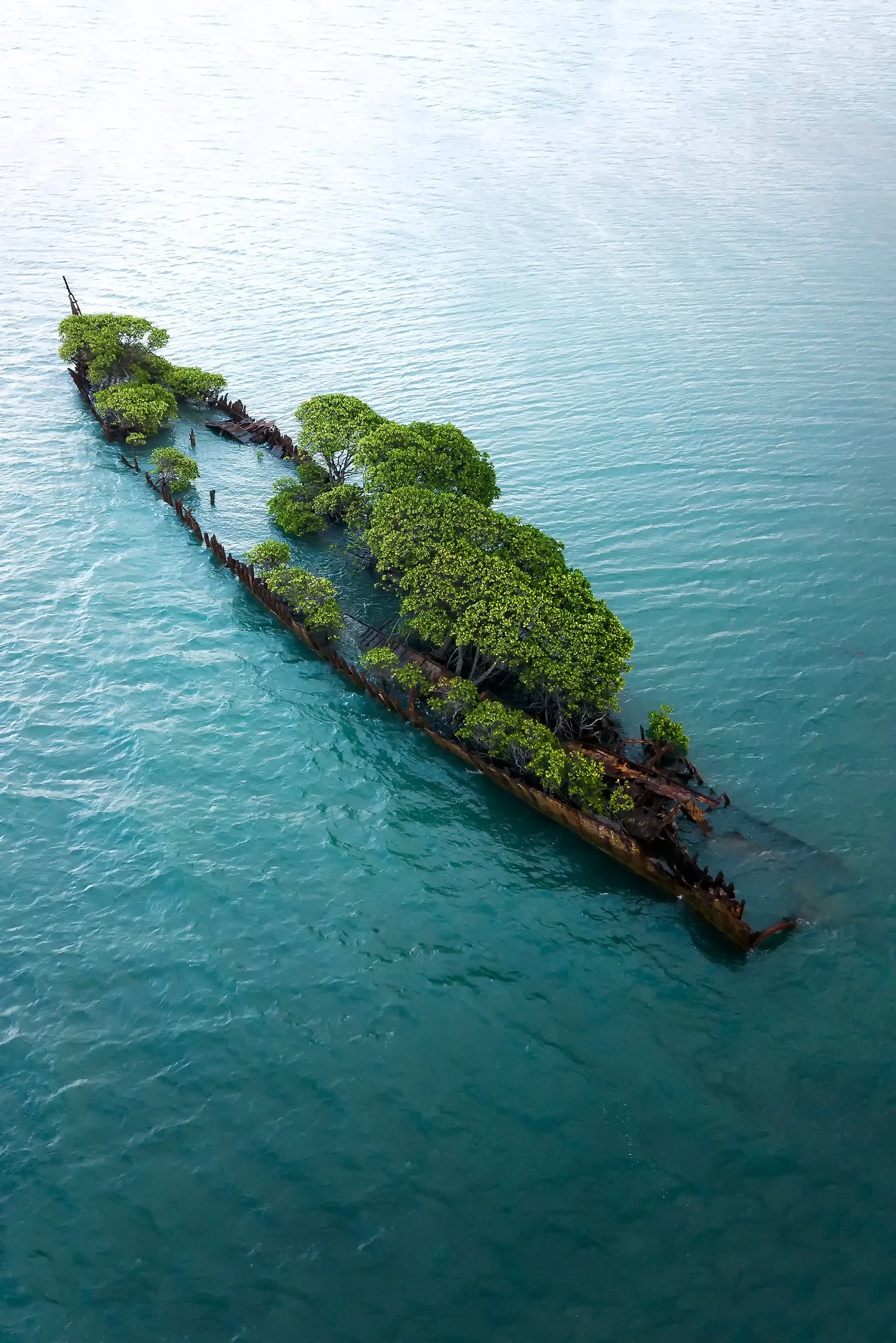 SS City of Adelaide