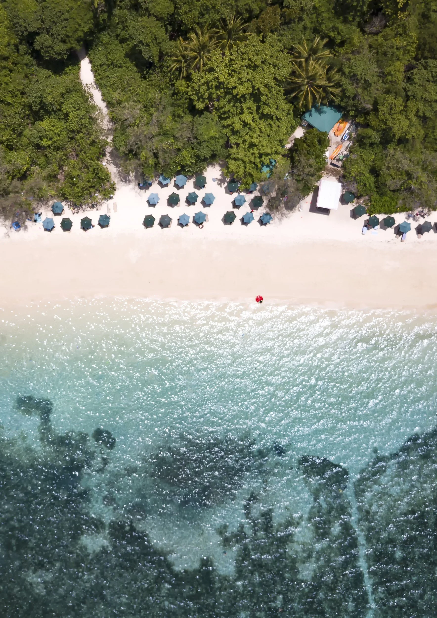 Day at the Beach | Green Island