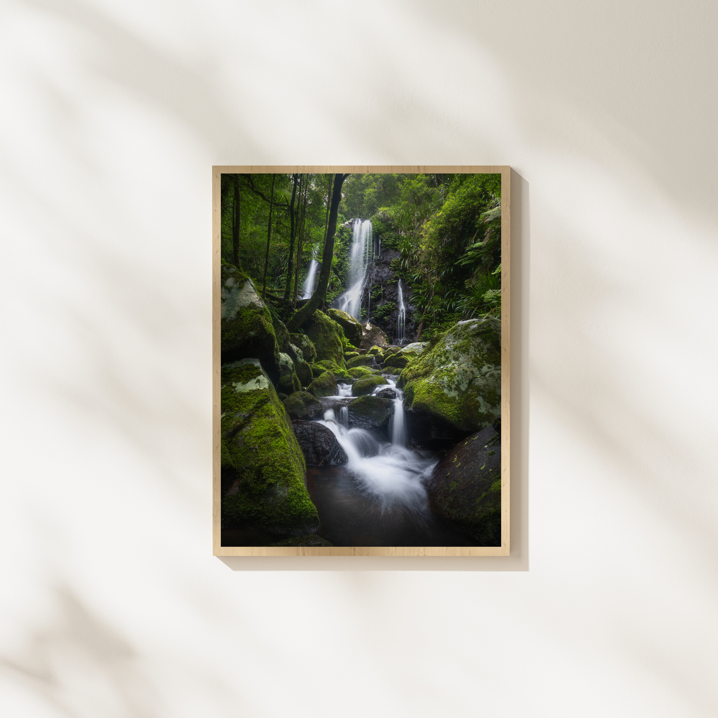 Steps | Lamington National Park